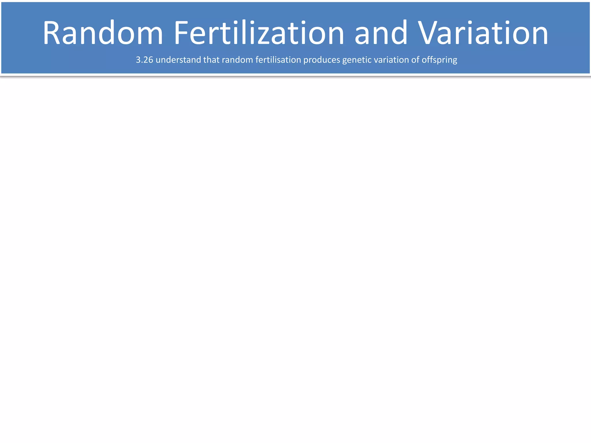 Random Fertilization and Variation 
3.26 understand that random fertilisation produces genetic variation of offspring 
 