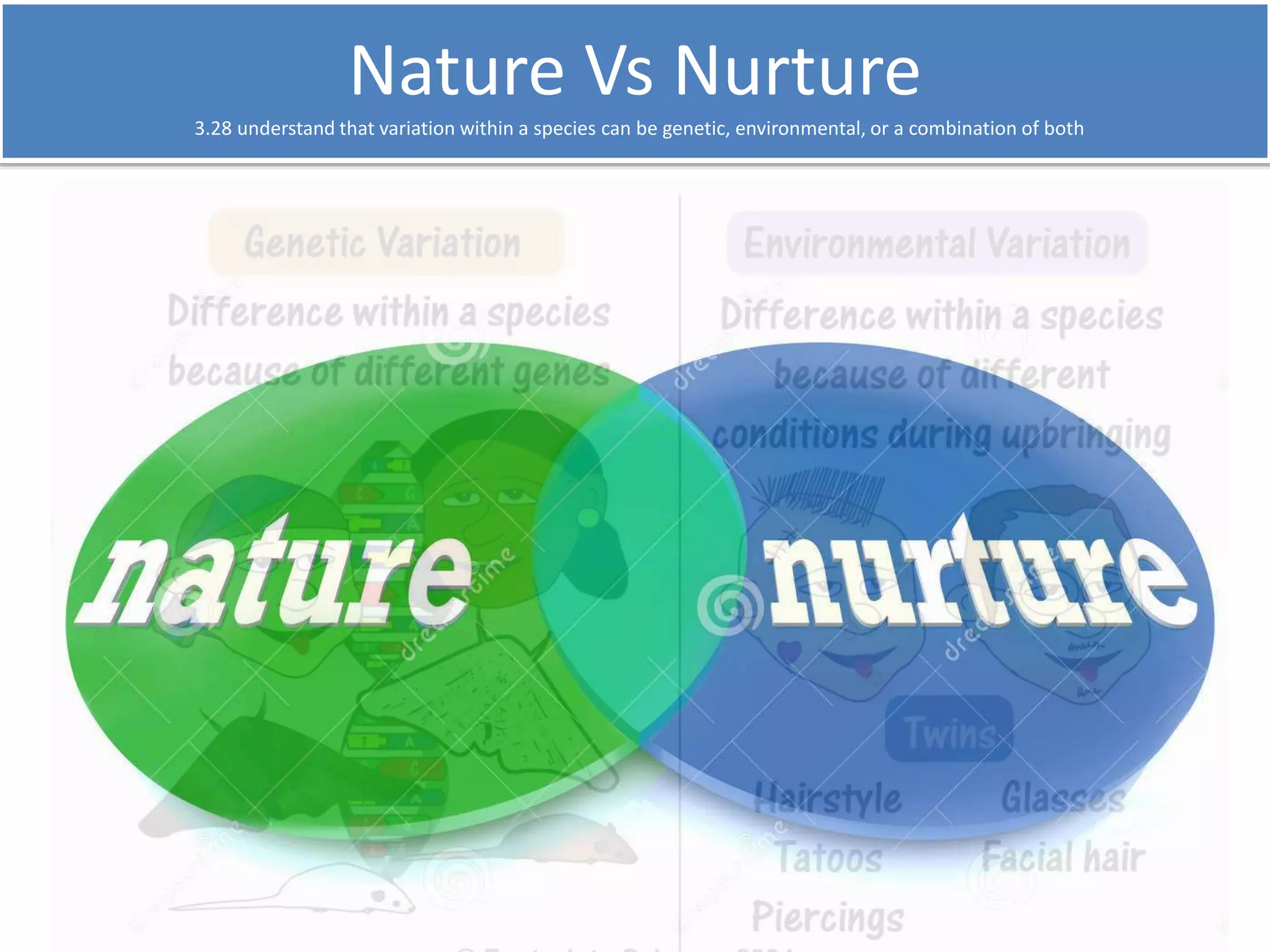 Nature Vs Nurture 
3.28 understand that variation within a species can be genetic, environmental, or a combination of both 
Variation 
 