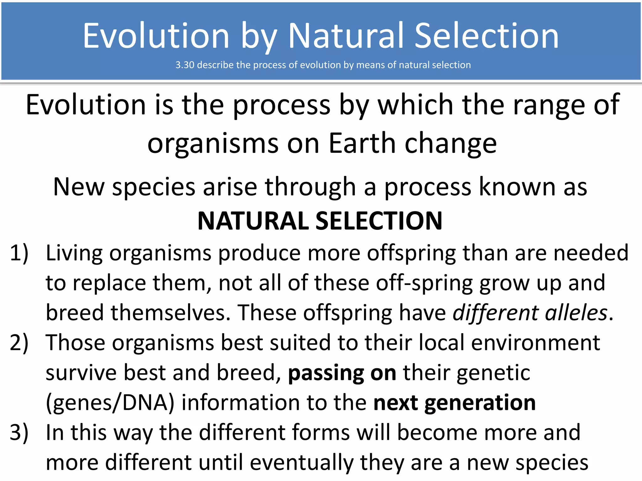 Evolution by Natural Selection 
3.30 describe the process of evolution by means of natural selection 
Evolution is the process by which the range of 
organisms on Earth change 
New species arise through a process known as 
NATURAL SELECTION 
1) Living organisms produce more offspring than are needed 
to replace them, not all of these off-spring grow up and 
breed themselves. These offspring have different alleles. 
2) Those organisms best suited to their local environment 
survive best and breed, passing on their genetic 
(genes/DNA) information to the next generation 
3) In this way the different forms will become more and 
more different until eventually they are a new species 
 