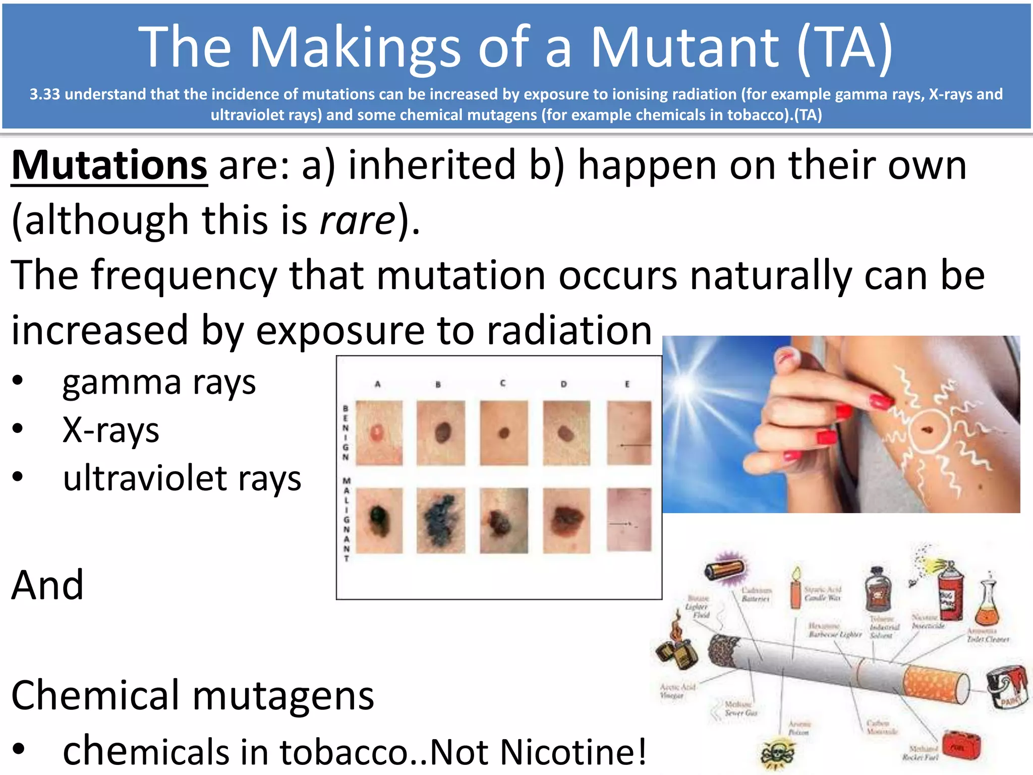 The Makings of a Mutant (TA) 
3.33 understand that the incidence of mutations can be increased by exposure to ionising radiation (for example gamma rays, X-rays and 
ultraviolet rays) and some chemical mutagens (for example chemicals in tobacco).(TA) 
Mutations are: a) inherited b) happen on their own 
(although this is rare). 
The frequency that mutation occurs naturally can be 
increased by exposure to radiation 
• gamma rays 
• X-rays 
• ultraviolet rays 
And 
Chemical mutagens 
• chemicals in tobacco..Not Nicotine!) 
 