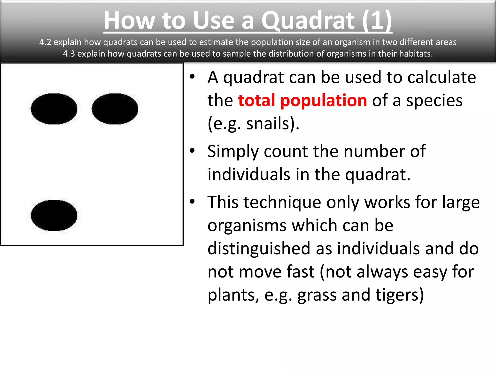 How to Use a Quadrat (1) 
4.2 explain how quadrats can be used to estimate the population size of an organism in two different areas 
4.3 explain how quadrats can be used to sample the distribution of organisms in their habitats. 
• A quadrat can be used to calculate 
the total population of a species 
(e.g. snails). 
• Simply count the number of 
individuals in the quadrat. 
• This technique only works for large 
organisms which can be 
distinguished as individuals and do 
not move fast (not always easy for 
plants, e.g. grass and tigers) 
 