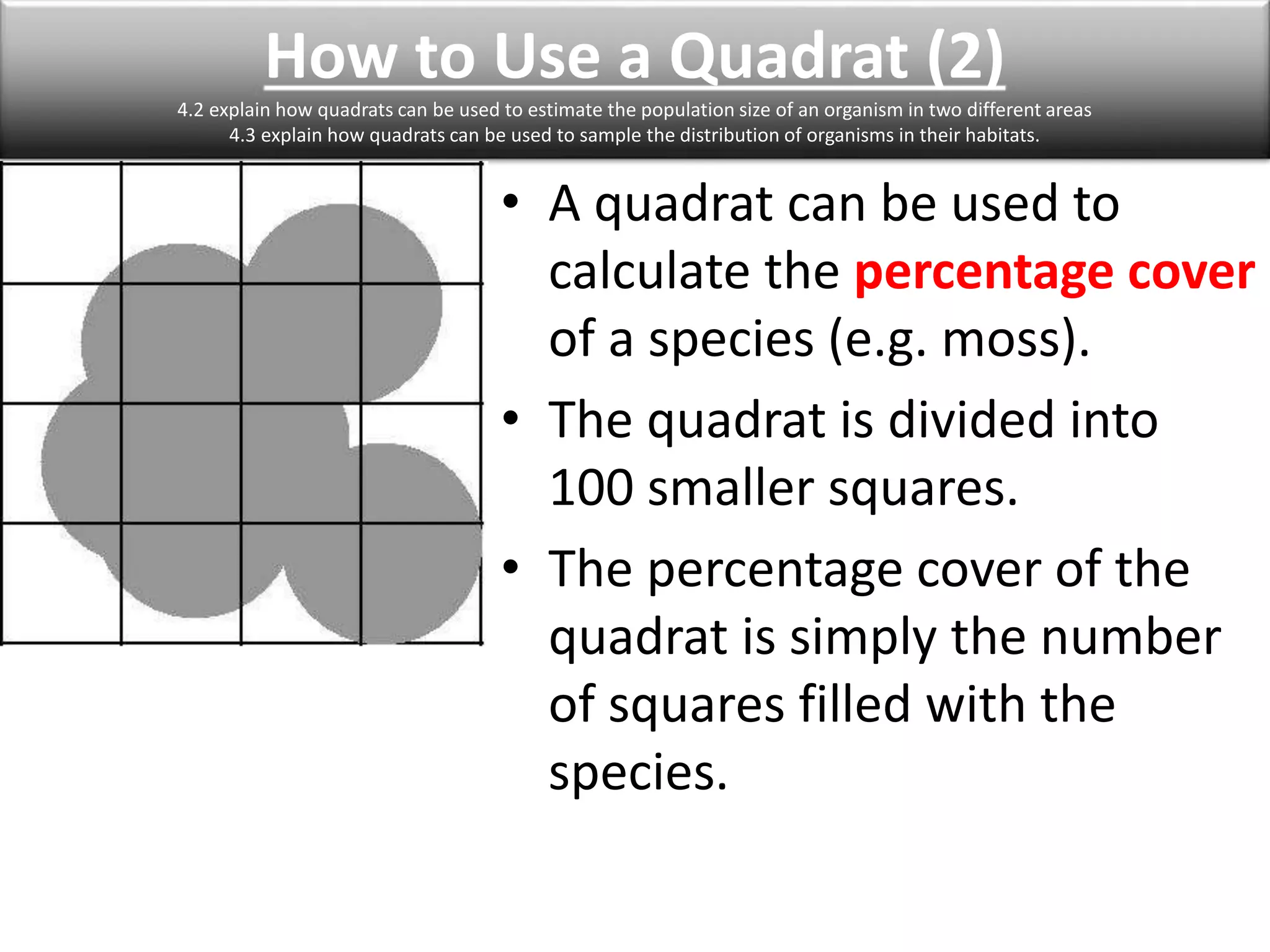 How to Use a Quadrat (2) 
4.2 explain how quadrats can be used to estimate the population size of an organism in two different areas 
4.3 explain how quadrats can be used to sample the distribution of organisms in their habitats. 
• A quadrat can be used to 
calculate the percentage cover 
of a species (e.g. moss). 
• The quadrat is divided into 
100 smaller squares. 
• The percentage cover of the 
quadrat is simply the number 
of squares filled with the 
species. 
 