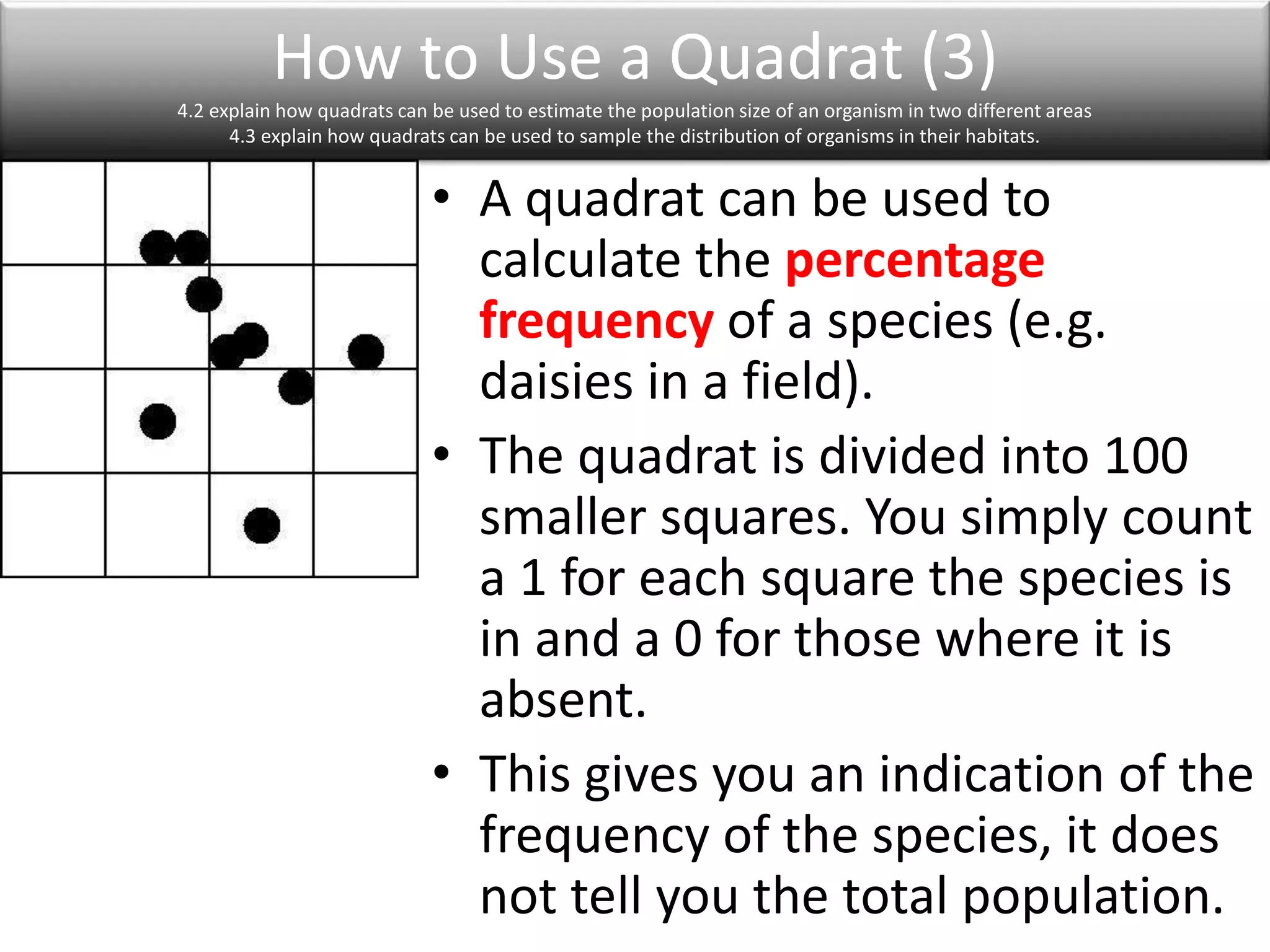 How to Use a Quadrat (3) 
4.2 explain how quadrats can be used to estimate the population size of an organism in two different areas 
4.3 explain how quadrats can be used to sample the distribution of organisms in their habitats. 
• A quadrat can be used to 
calculate the percentage 
frequency of a species (e.g. 
daisies in a field). 
• The quadrat is divided into 100 
smaller squares. You simply count 
a 1 for each square the species is 
in and a 0 for those where it is 
absent. 
• This gives you an indication of the 
frequency of the species, it does 
not tell you the total population. 
 