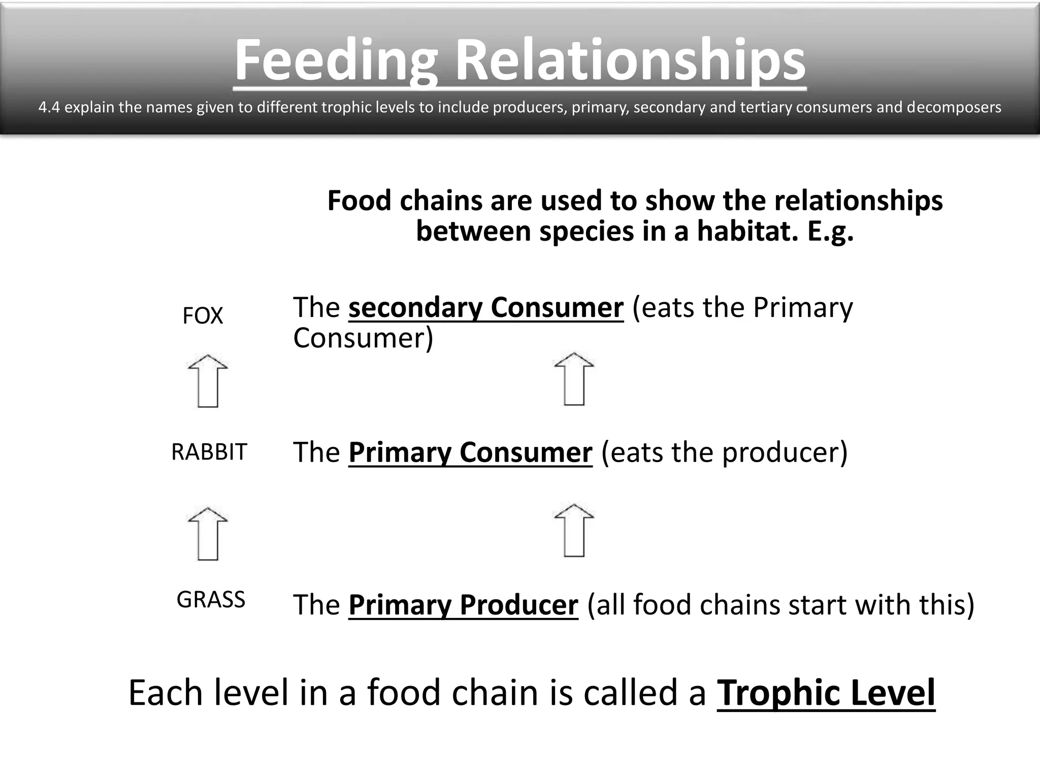 Feeding Relationships 
4.4 explain the names given to different trophic levels to include producers, primary, secondary and tertiary consumers and decomposers 
Food chains are used to show the relationships 
between species in a habitat. E.g. 
The secondary Consumer (eats the Primary 
Consumer) 
The Primary Consumer (eats the producer) 
The Primary Producer (all food chains start with this) 
FOX 
RABBIT 
GRASS 
Each level in a food chain is called a Trophic Level 
 