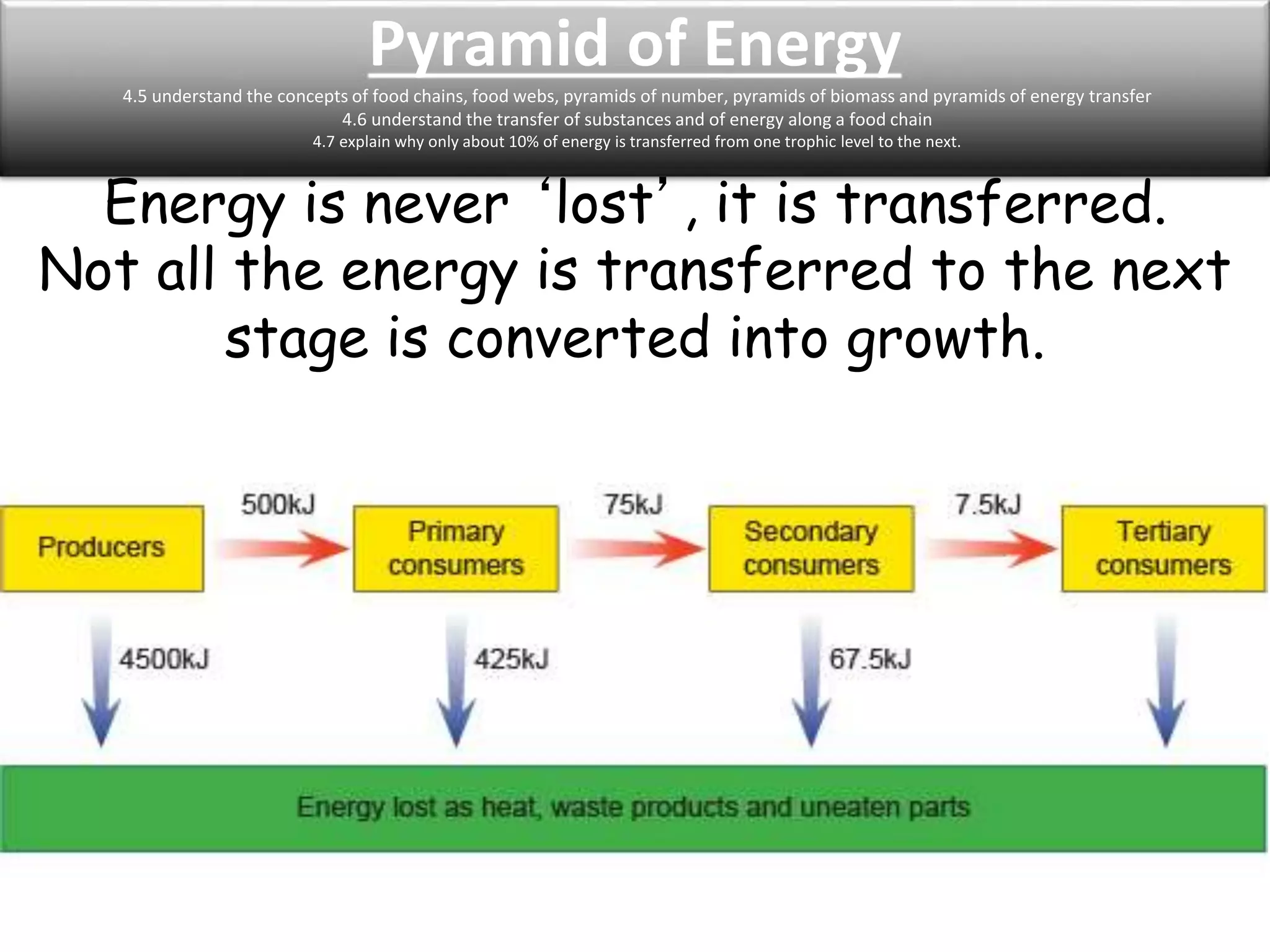 Pyramid of Energy 
4.5 understand the concepts of food chains, food webs, pyramids of number, pyramids of biomass and pyramids of energy transfer 
4.6 understand the transfer of substances and of energy along a food chain 
4.7 explain why only about 10% of energy is transferred from one trophic level to the next. 
Energy is never ‘lost’, it is transferred. 
Not all the energy is transferred to the next 
stage is converted into growth. 
 