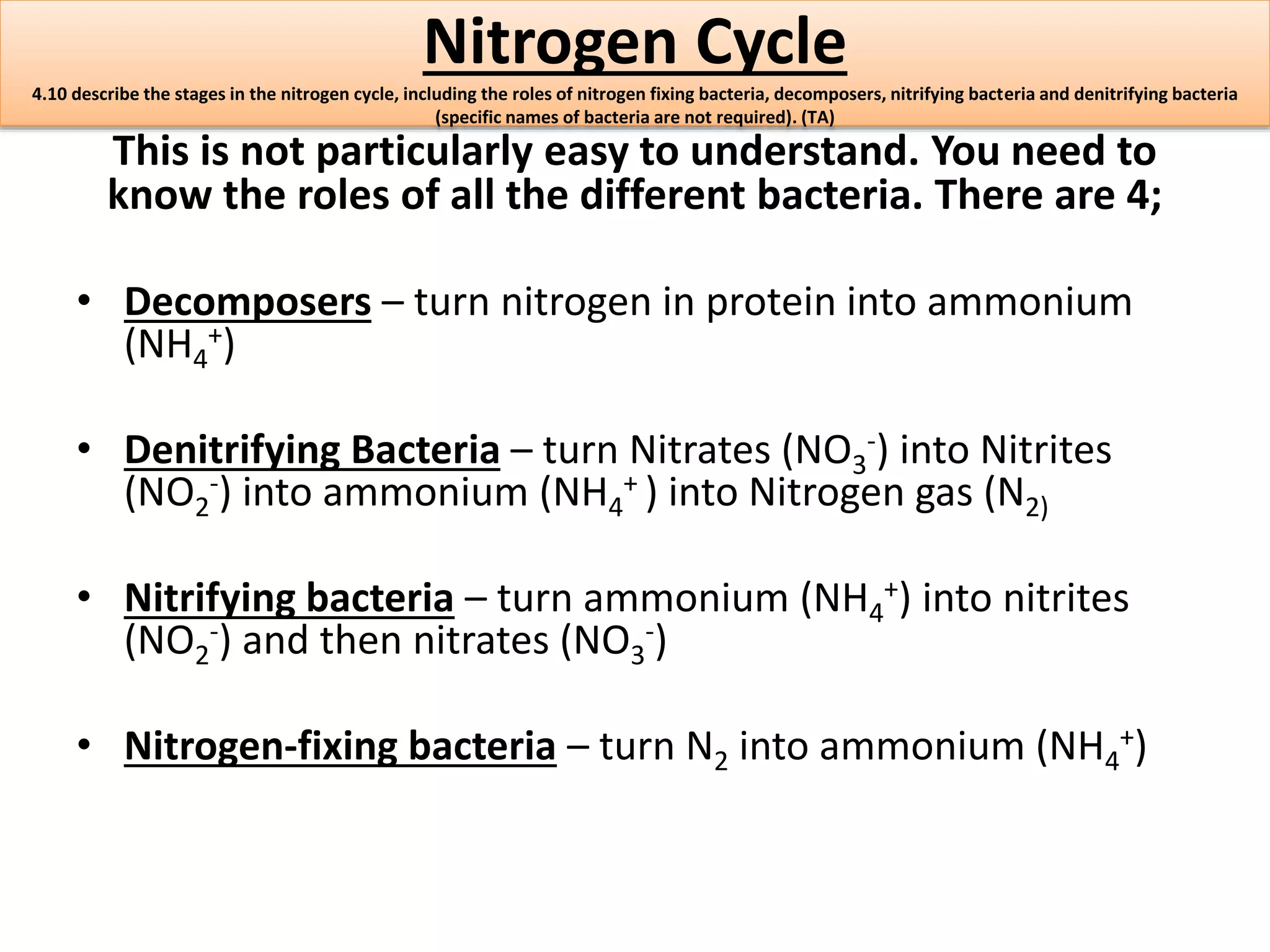 Nitrogen Cycle 
4.10 describe the stages in the nitrogen cycle, including the roles of nitrogen fixing bacteria, decomposers, nitrifying bacteria and denitrifying bacteria 
(specific names of bacteria are not required). (TA) 
This is not particularly easy to understand. You need to 
know the roles of all the different bacteria. There are 4; 
• Decomposers – turn nitrogen in protein into ammonium 
+) 
(NH4 
-) into Nitrites 
• Denitrifying Bacteria – turn Nitrates (NO3 
-) into ammonium (NH4 
(NO2 
+ ) into Nitrogen gas (N2) 
+) into nitrites 
• Nitrifying bacteria – turn ammonium (NH4 
-) and then nitrates (NO3 
(NO2 
-) 
+) 
• Nitrogen-fixing bacteria – turn N2 into ammonium (NH4 
 