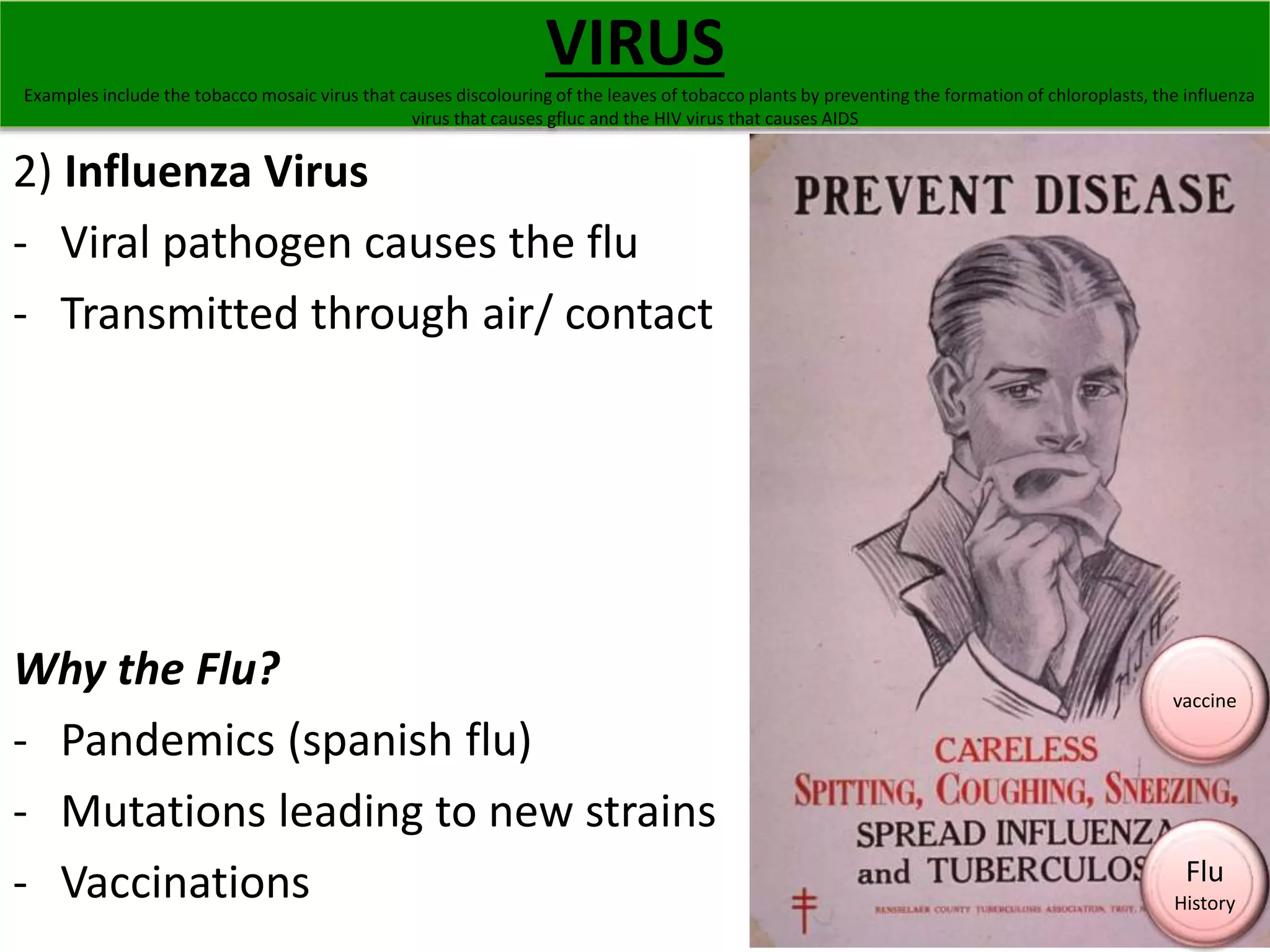 VIRUS 
Examples include the tobacco mosaic virus that causes discolouring of the leaves of tobacco plants by preventing the formation of chloroplasts, the influenza 
virus that causes gfluc and the HIV virus that causes AIDS 
2) Influenza Virus 
- Viral pathogen causes the flu 
- Transmitted through air/ contact 
Why the Flu? 
- Pandemics (spanish flu) 
- Mutations leading to new strains 
- Vaccinations 
vaccine 
Flu 
History 
 
