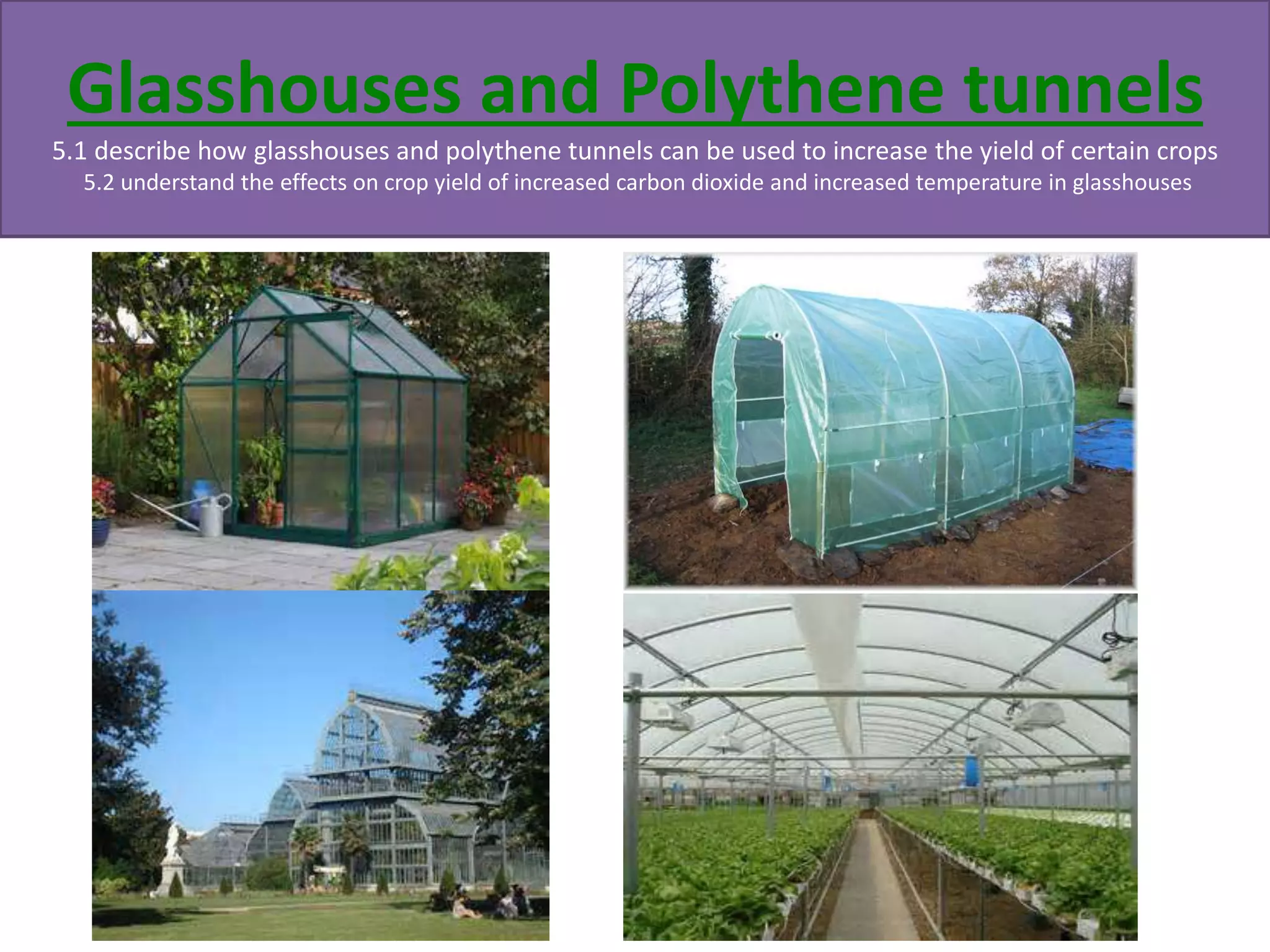 Glasshouses and Polythene tunnels 
5.1 describe how glasshouses and polythene tunnels can be used to increase the yield of certain crops 
5.2 understand the effects on crop yield of increased carbon dioxide and increased temperature in glasshouses 
 