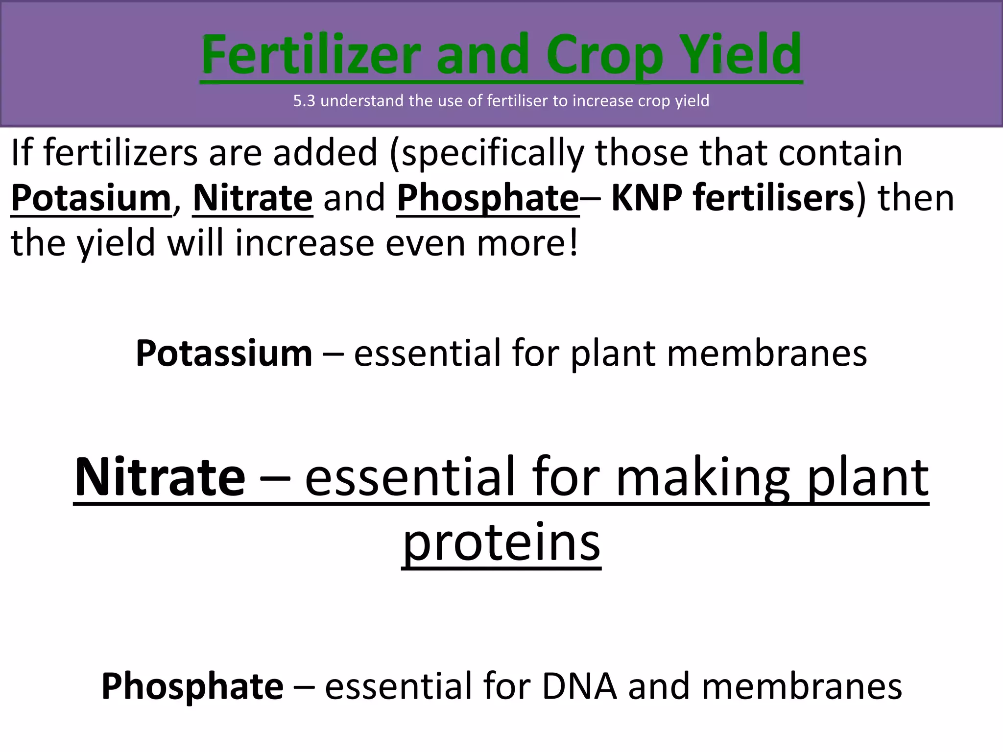 Fertilizer and Crop Yield 
5.3 understand the use of fertiliser to increase crop yield 
If fertilizers are added (specifically those that contain 
Potasium, Nitrate and Phosphate– KNP fertilisers) then 
the yield will increase even more! 
Potassium – essential for plant membranes 
Nitrate – essential for making plant 
proteins 
Phosphate – essential for DNA and membranes 
 