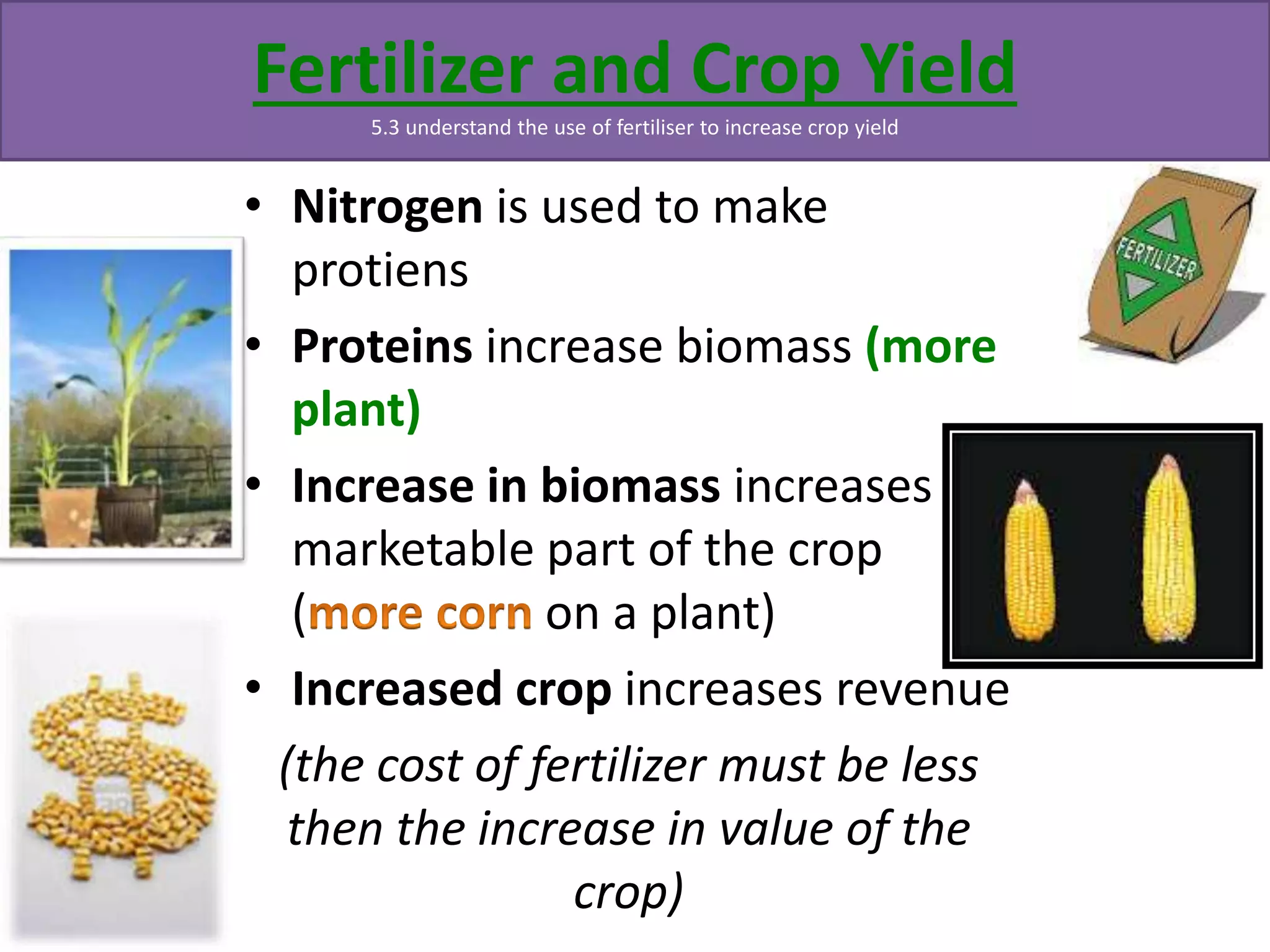 Fertilizer and Crop Yield 
5.3 understand the use of fertiliser to increase crop yield 
• Nitrogen is used to make 
protiens 
• Proteins increase biomass (more 
plant) 
• Increase in biomass increases 
marketable part of the crop 
( on a plant) 
• Increased crop increases revenue 
(the cost of fertilizer must be less 
then the increase in value of the 
crop) 
 