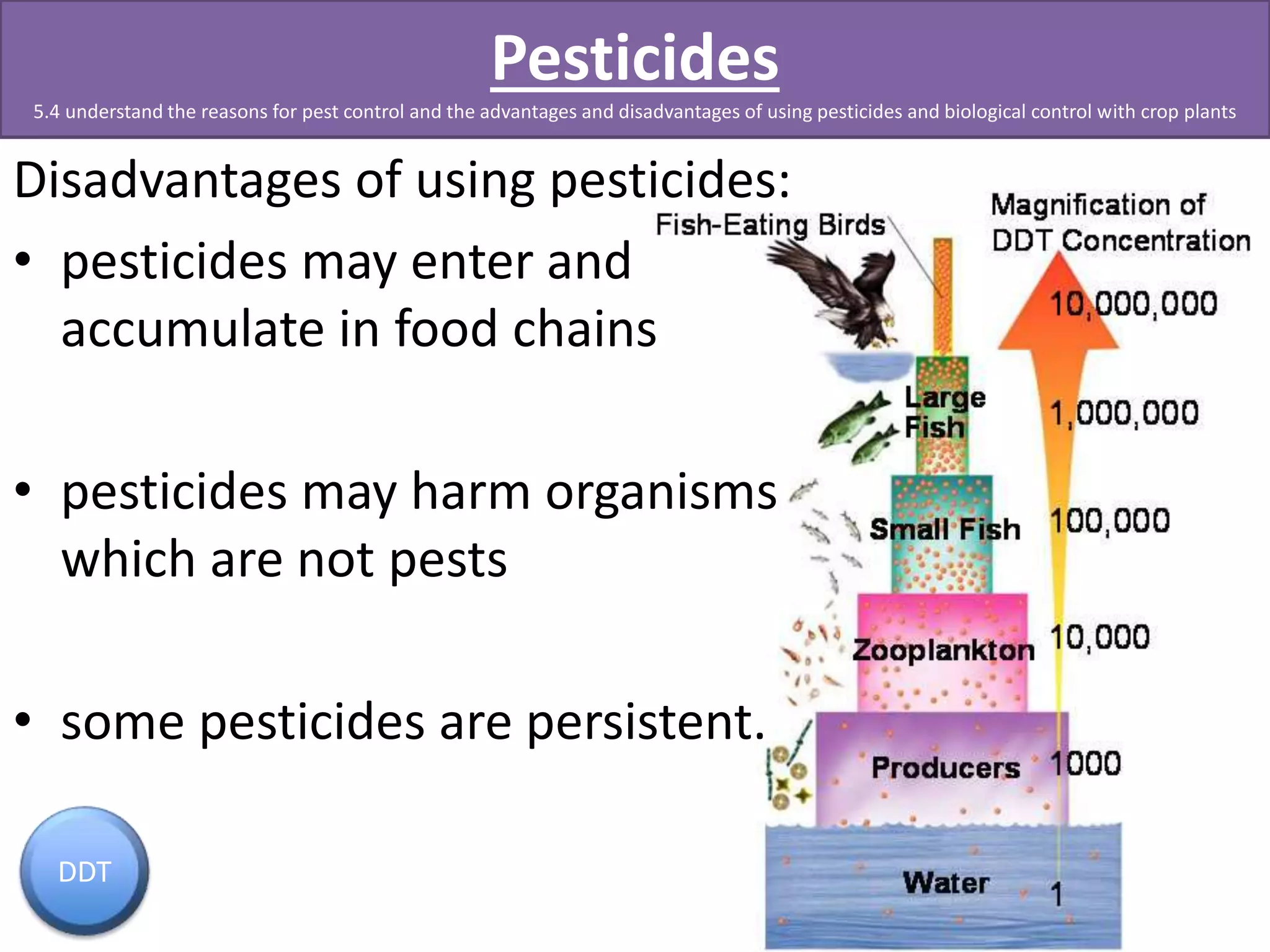 Pesticides 
5.4 understand the reasons for pest control and the advantages and disadvantages of using pesticides and biological control with crop plants 
Disadvantages of using pesticides: 
• pesticides may enter and 
accumulate in food chains 
• pesticides may harm organisms 
which are not pests 
• some pesticides are persistent. 
DDT 
 