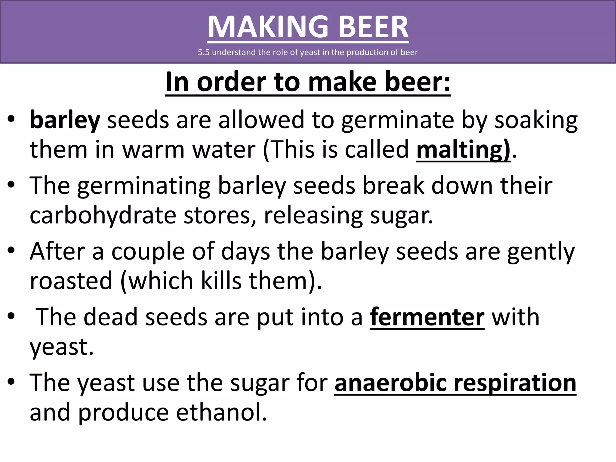 MAKING BEER 
5.5 understand the role of yeast in the production of beer 
In order to make beer: 
• barley seeds are allowed to germinate by soaking 
them in warm water (This is called malting). 
• The germinating barley seeds break down their 
carbohydrate stores, releasing sugar. 
• After a couple of days the barley seeds are gently 
roasted (which kills them). 
• The dead seeds are put into a fermenter with 
yeast. 
• The yeast use the sugar for anaerobic respiration 
and produce ethanol. 
 