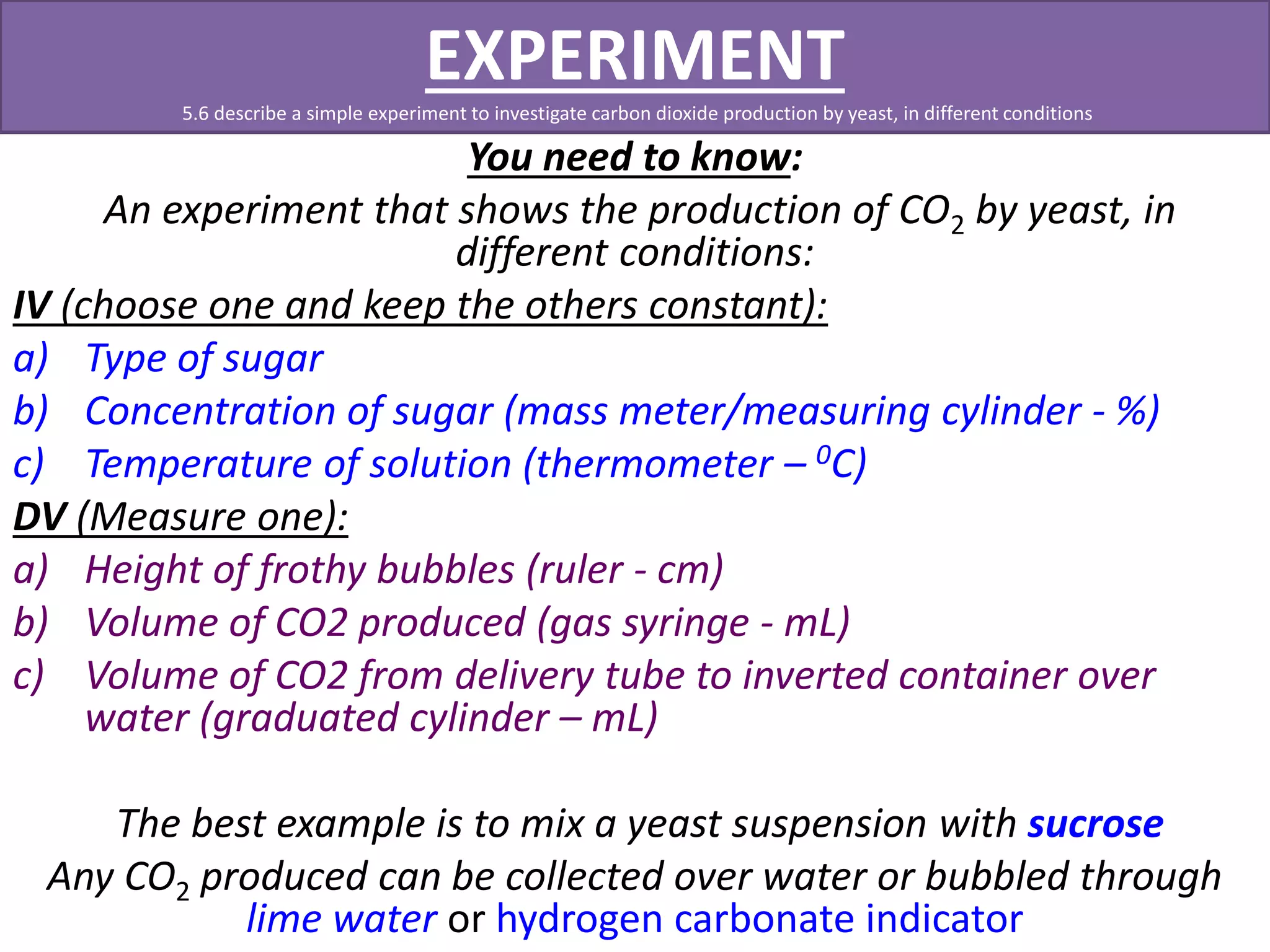 EXPERIMENT 
5.6 describe a simple experiment to investigate carbon dioxide production by yeast, in different conditions 
You need to know: 
An experiment that shows the production of CO2 by yeast, in 
different conditions: 
IV (choose one and keep the others constant): 
a) Type of sugar 
b) Concentration of sugar (mass meter/measuring cylinder - %) 
c) Temperature of solution (thermometer – 0C) 
DV (Measure one): 
a) Height of frothy bubbles (ruler - cm) 
b) Volume of CO2 produced (gas syringe - mL) 
c) Volume of CO2 from delivery tube to inverted container over 
water (graduated cylinder – mL) 
The best example is to mix a yeast suspension with sucrose 
Any CO2 produced can be collected over water or bubbled through 
lime water or hydrogen carbonate indicator 
 