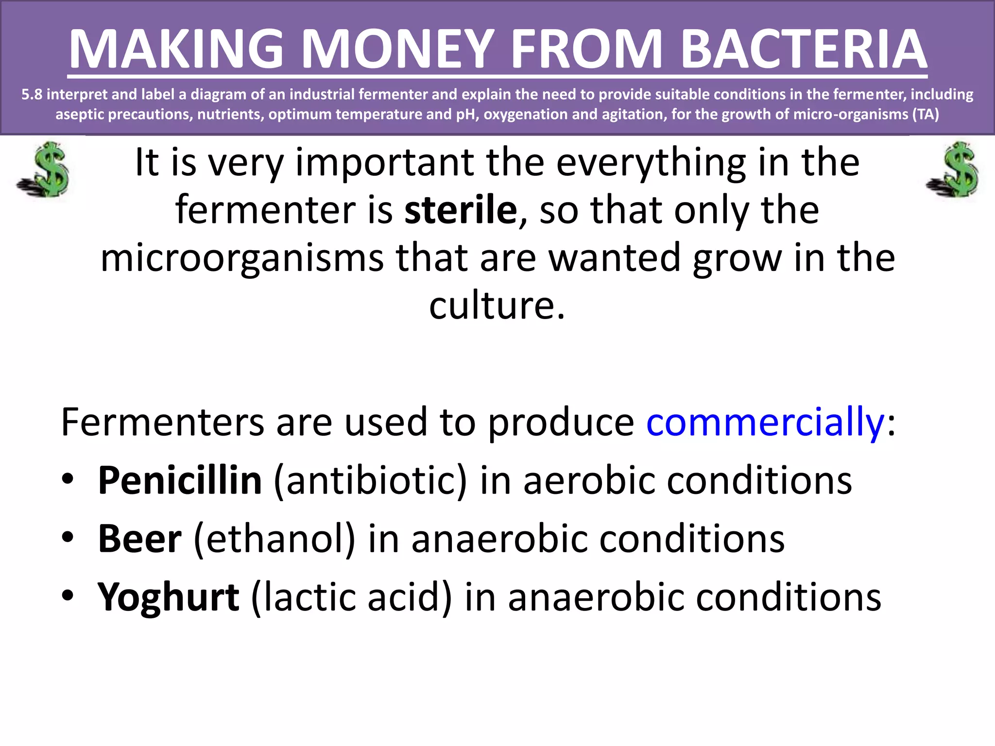 MAKING MONEY FROM BACTERIA 
5.8 interpret and label a diagram of an industrial fermenter and explain the need to provide suitable conditions in the fermenter, including 
aseptic precautions, nutrients, optimum temperature and pH, oxygenation and agitation, for the growth of micro-organisms (TA) 
It is very important the everything in the 
fermenter is sterile, so that only the 
microorganisms that are wanted grow in the 
culture. 
Fermenters are used to produce commercially: 
• Penicillin (antibiotic) in aerobic conditions 
• Beer (ethanol) in anaerobic conditions 
• Yoghurt (lactic acid) in anaerobic conditions 
 