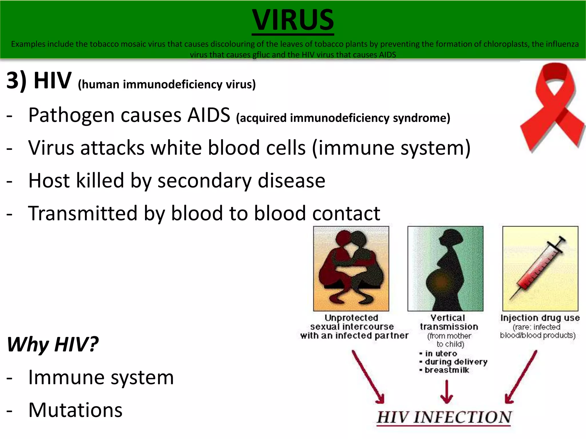 3) HIV (human immunodeficiency virus) 
- Pathogen causes AIDS (acquired immunodeficiency syndrome) 
- Virus attacks white blood cells (immune system) 
- Host killed by secondary disease 
- Transmitted by blood to blood contact 
Why HIV? 
- Immune system 
- Mutations 
VIRUS 
Examples include the tobacco mosaic virus that causes discolouring of the leaves of tobacco plants by preventing the formation of chloroplasts, the influenza 
virus that causes gfluc and the HIV virus that causes AIDS 
 