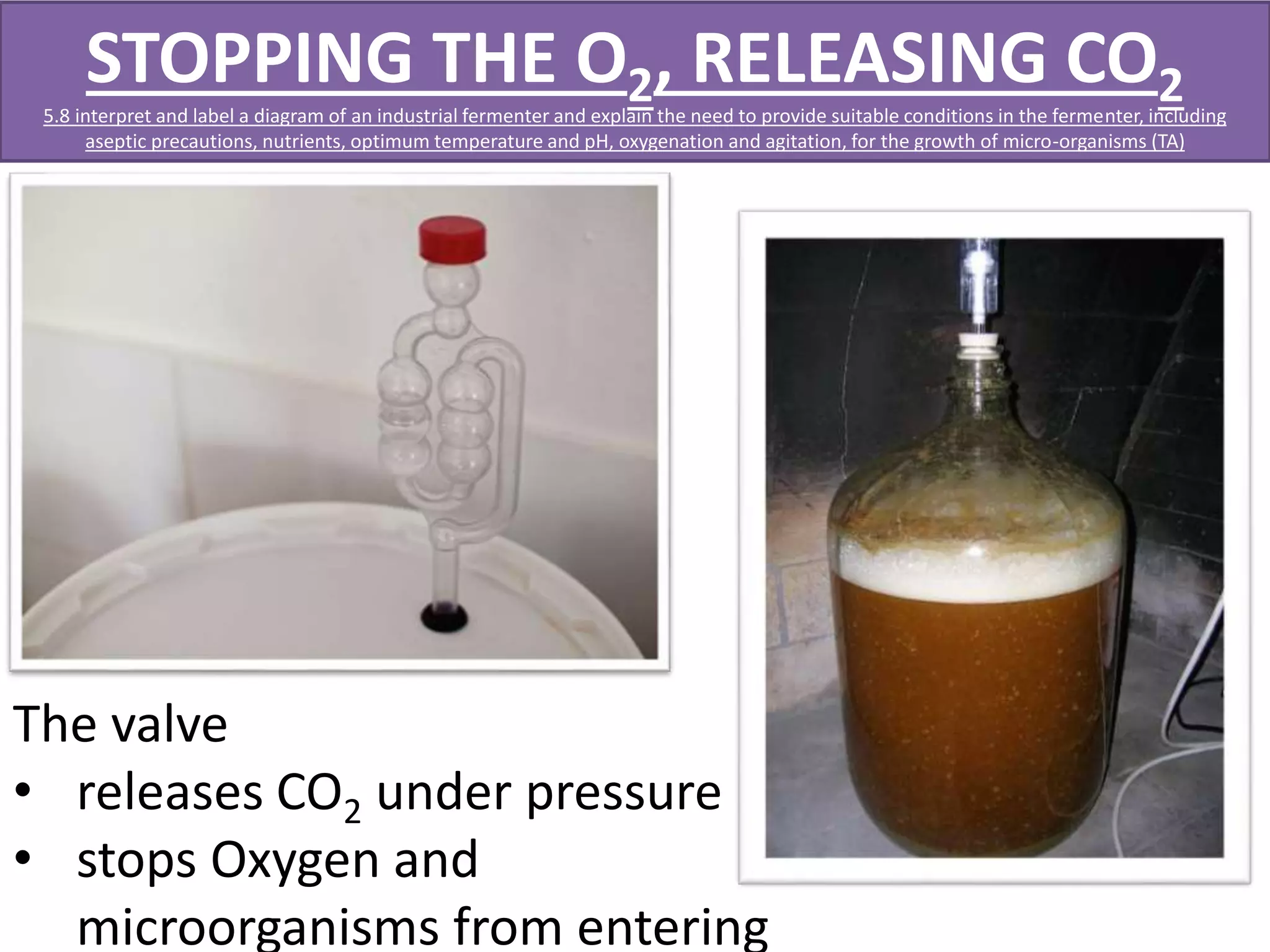 STOPPING THE O2, RELEASING CO2 
5.8 interpret and label a diagram of an industrial fermenter and explain the need to provide suitable conditions in the fermenter, including 
aseptic precautions, nutrients, optimum temperature and pH, oxygenation and agitation, for the growth of micro-organisms (TA) 
The valve 
• releases CO2 under pressure 
• stops Oxygen and 
microorganisms from entering 
 