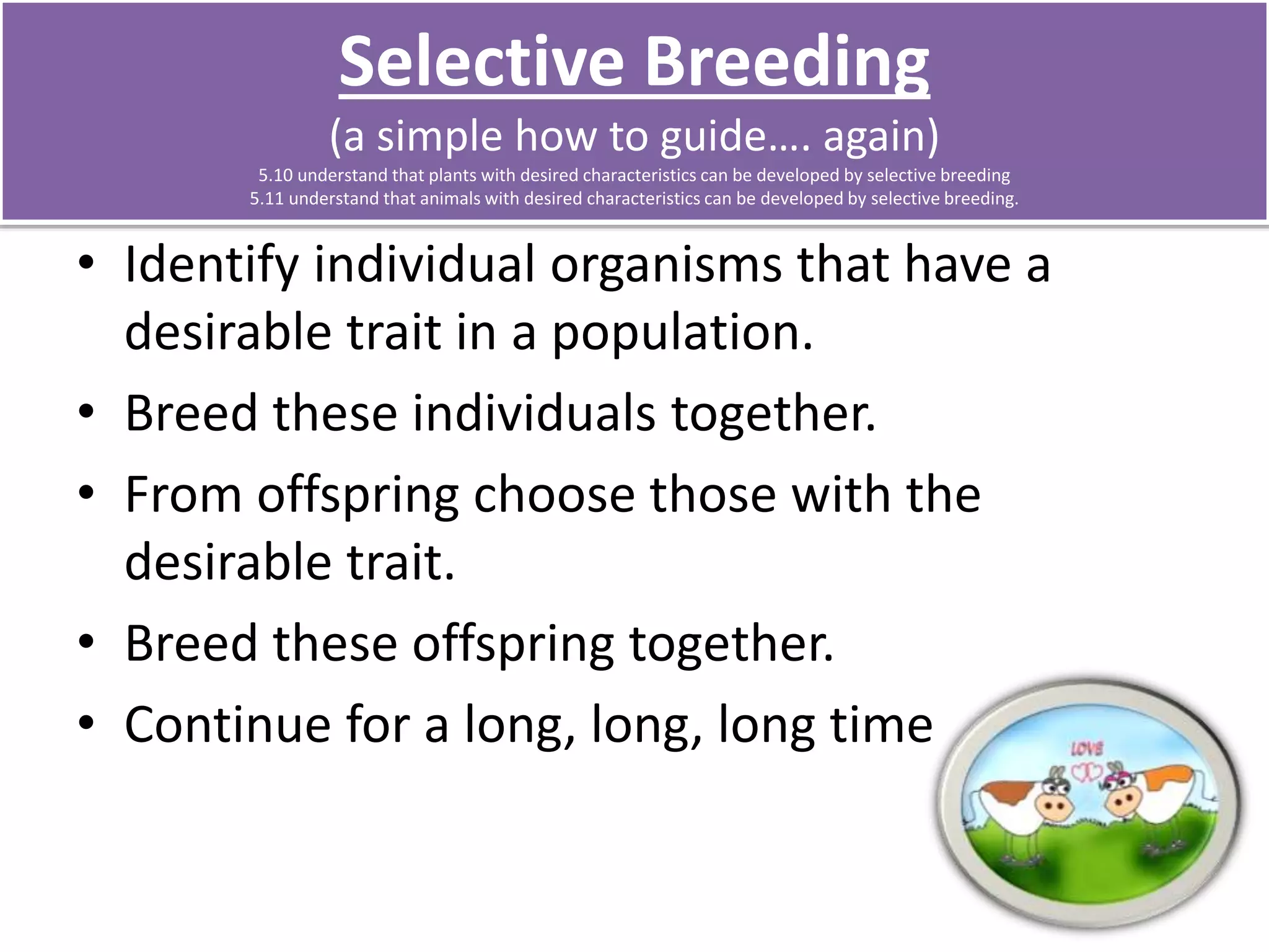 Selective Breeding 
(a simple how to guide…. again) 
5.10 understand that plants with desired characteristics can be developed by selective breeding 
5.11 understand that animals with desired characteristics can be developed by selective breeding. 
• Identify individual organisms that have a 
desirable trait in a population. 
• Breed these individuals together. 
• From offspring choose those with the 
desirable trait. 
• Breed these offspring together. 
• Continue for a long, long, long time 
 
