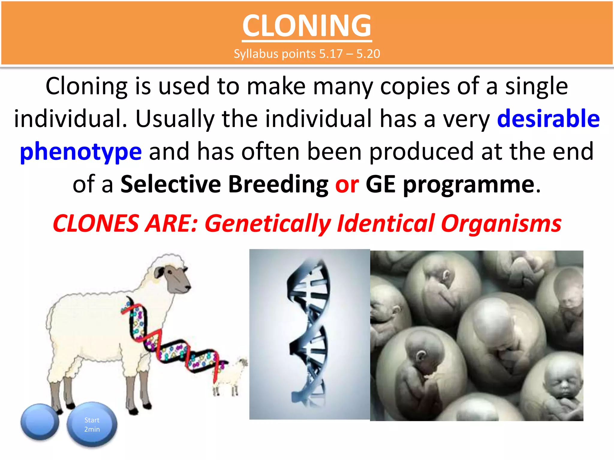 CLONING 
Syllabus points 5.17 – 5.20 
Cloning is used to make many copies of a single 
individual. Usually the individual has a very desirable 
phenotype and has often been produced at the end 
of a Selective Breeding or GE programme. 
CLONES ARE: Genetically Identical Organisms 
Start 
2min 
 