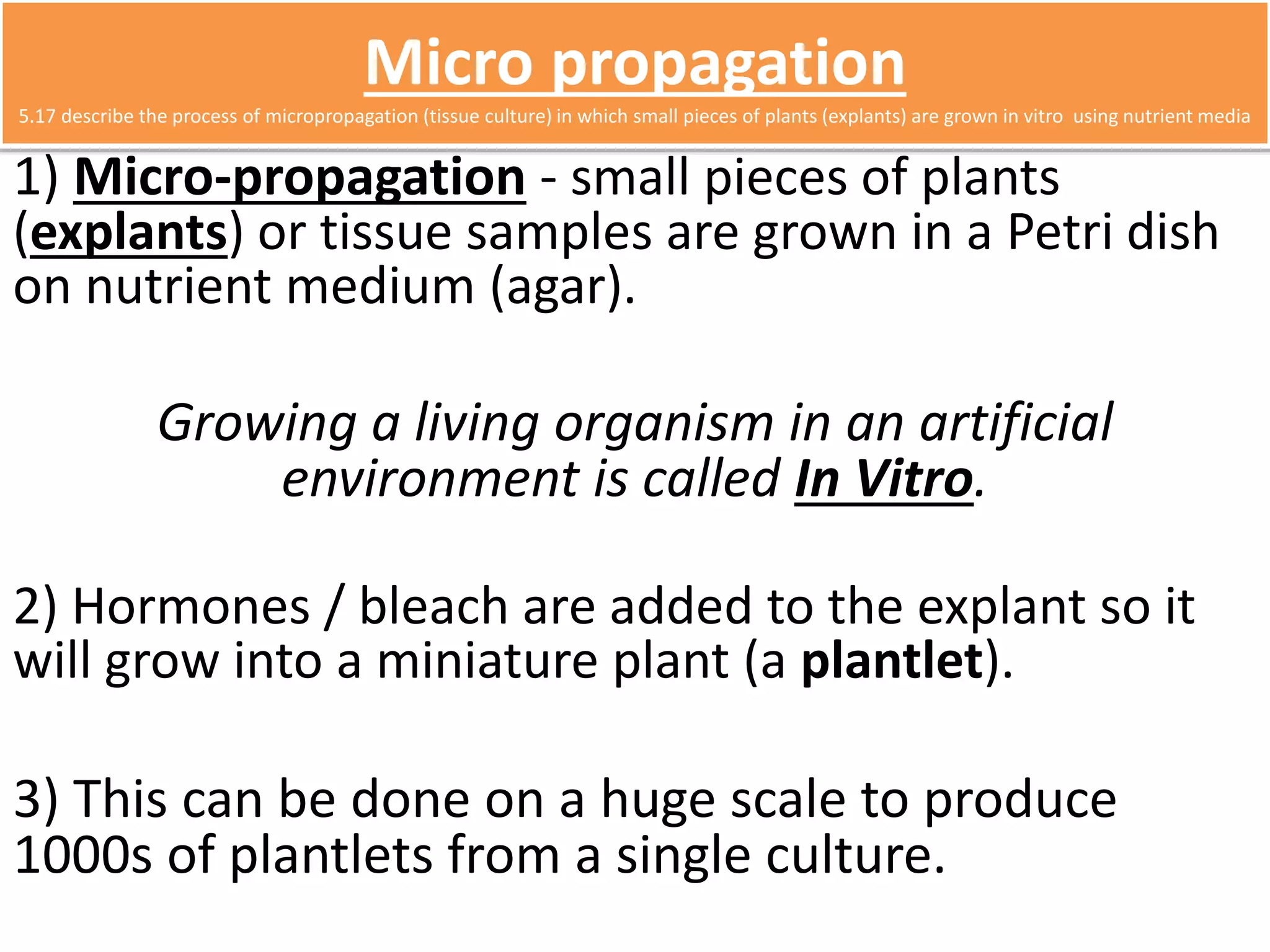 Micro propagation 
5.17 describe the process of micropropagation (tissue culture) in which small pieces of plants (explants) are grown in vitro using nutrient media 
1) Micro-propagation - small pieces of plants 
(explants) or tissue samples are grown in a Petri dish 
on nutrient medium (agar). 
Growing a living organism in an artificial 
environment is called In Vitro. 
2) Hormones / bleach are added to the explant so it 
will grow into a miniature plant (a plantlet). 
3) This can be done on a huge scale to produce 
1000s of plantlets from a single culture. 
 