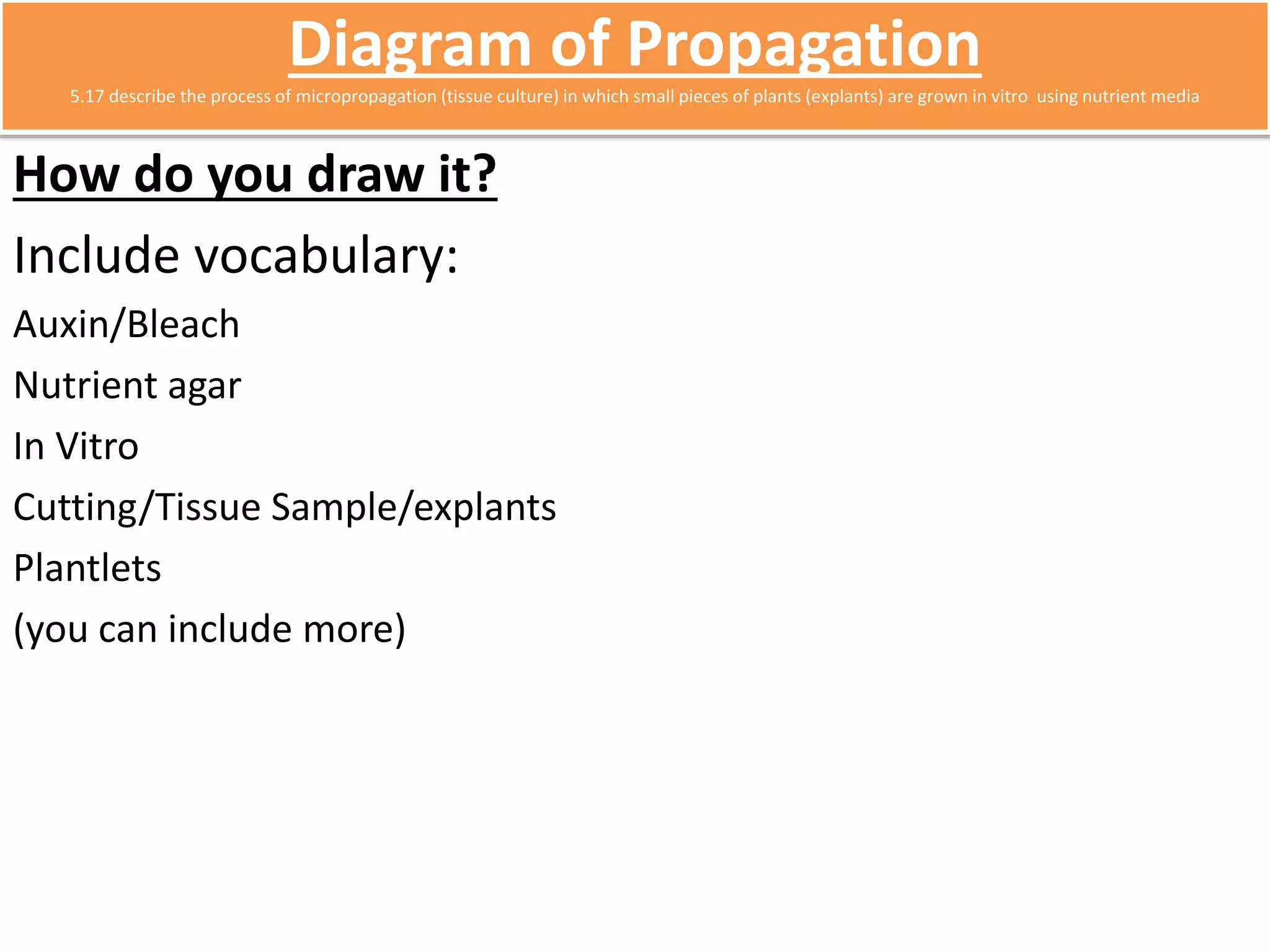 Diagram of Propagation 
5.17 describe the process of micropropagation (tissue culture) in which small pieces of plants (explants) are grown in vitro using nutrient media 
How do you draw it? 
Include vocabulary: 
Auxin/Bleach 
Nutrient agar 
In Vitro 
Cutting/Tissue Sample/explants 
Plantlets 
(you can include more) 
 