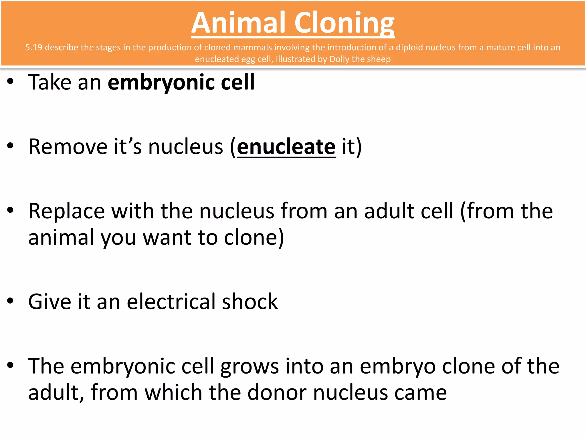 Animal Cloning 
5.19 describe the stages in the production of cloned mammals involving the introduction of a diploid nucleus from a mature cell into an 
enucleated egg cell, illustrated by Dolly the sheep 
• Take an embryonic cell 
• Remove it’s nucleus (enucleate it) 
• Replace with the nucleus from an adult cell (from the 
animal you want to clone) 
• Give it an electrical shock 
• The embryonic cell grows into an embryo clone of the 
adult, from which the donor nucleus came 
 