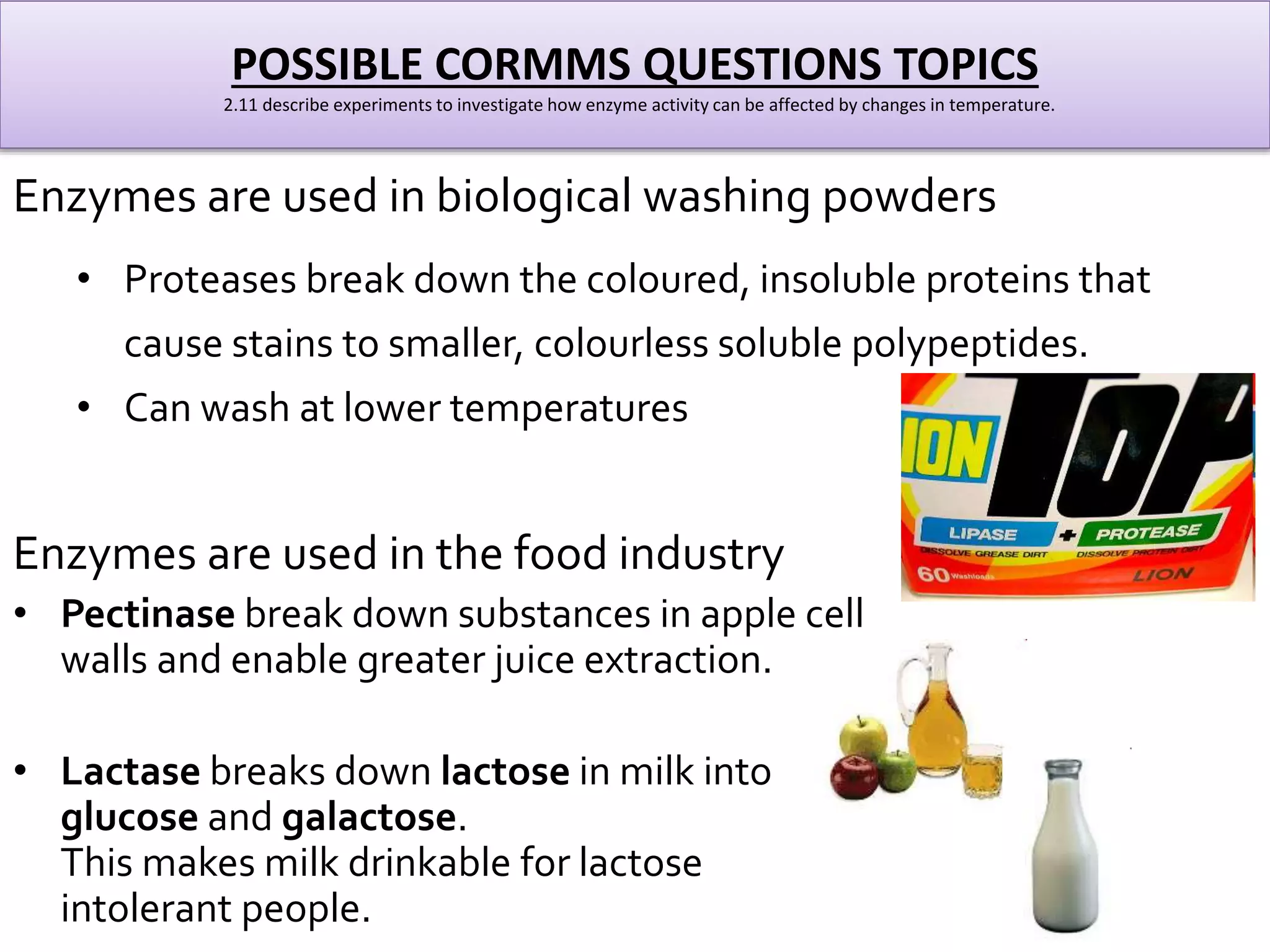 POSSIBLE CORMMS QUESTIONS TOPICS 
2.11 describe experiments to investigate how enzyme activity can be affected by changes in temperature. 
Enzymes are used in biological washing powders 
• Proteases break down the coloured, insoluble proteins that 
cause stains to smaller, colourless soluble polypeptides. 
• Can wash at lower temperatures 
Enzymes are used in the food industry 
• Pectinase break down substances in apple cell 
walls and enable greater juice extraction. 
• Lactase breaks down lactose in milk into 
glucose and galactose. 
This makes milk drinkable for lactose 
intolerant people. 
 