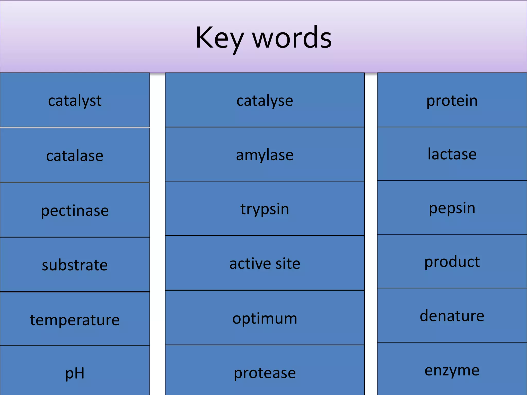 Key words 
catalyst catalyse protein 
catalase amylase 
pectinase trypsin pepsin 
substrate active site product 
temperature denature 
enzyme 
pH 
optimum 
lactase 
protease 
 