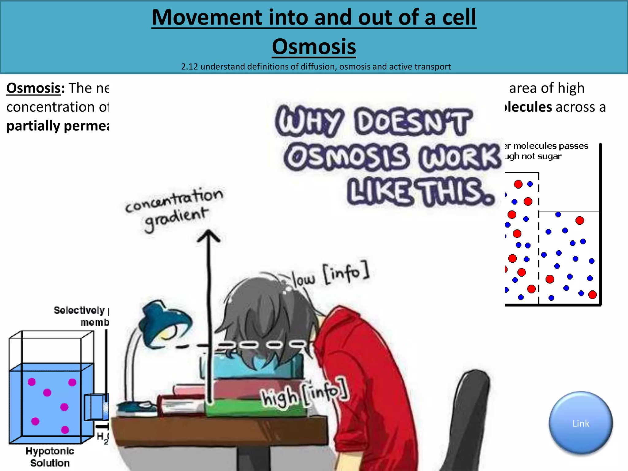 Movement into and out of a cell 
Osmosis 
2.12 understand definitions of diffusion, osmosis and active transport 
Osmosis: The net movement of water down a concentration gradient from an area of high 
concentration of water molecules to an area of low concentration of water molecules across a 
partially permeable membrane. 
Link 
 