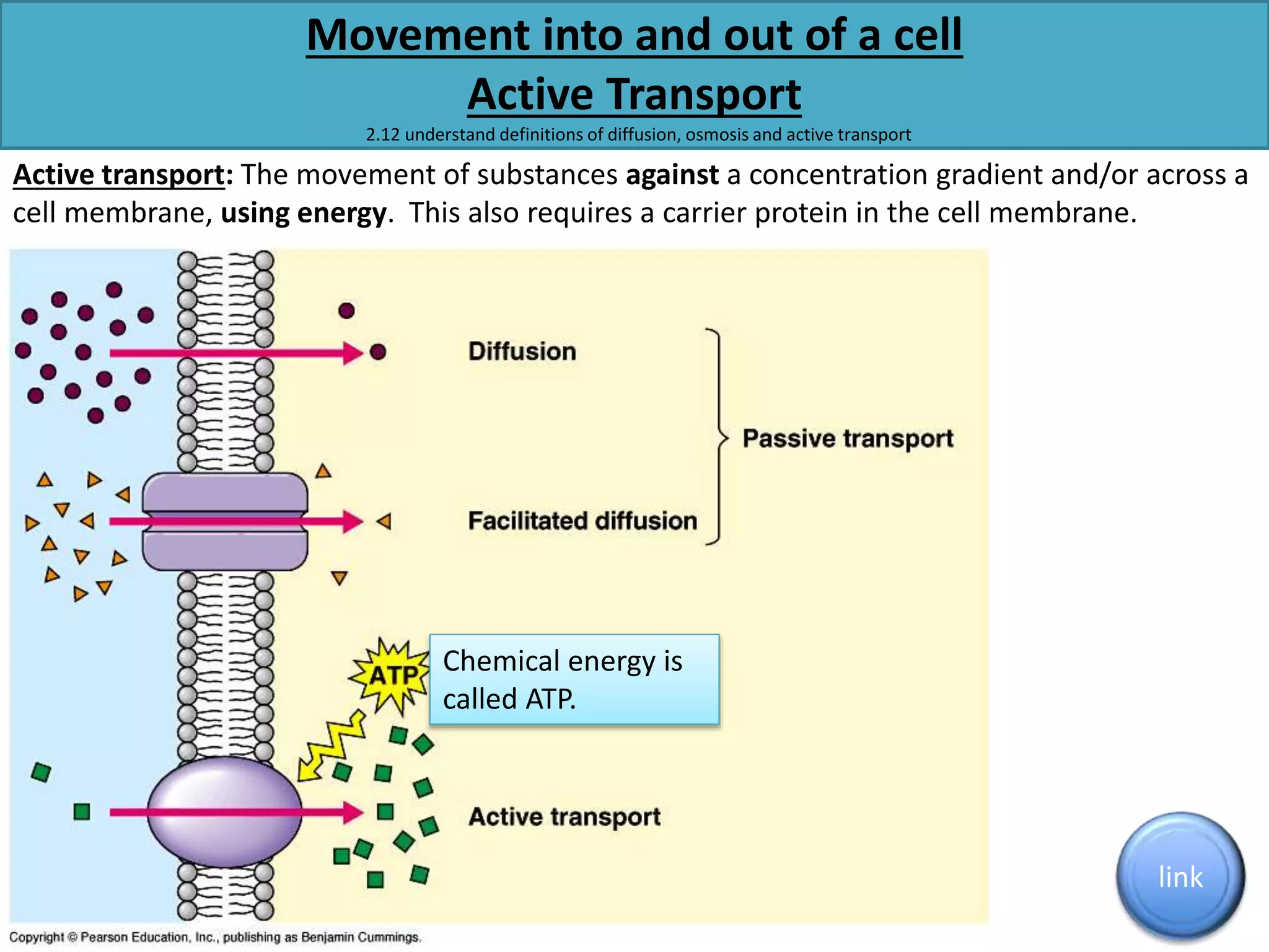 Movement into and out of a cell 
Active Transport 
2.12 understand definitions of diffusion, osmosis and active transport 
Active transport: The movement of substances against a concentration gradient and/or across a 
cell membrane, using energy. This also requires a carrier protein in the cell membrane. 
link 
Chemical energy is 
called ATP. 
 