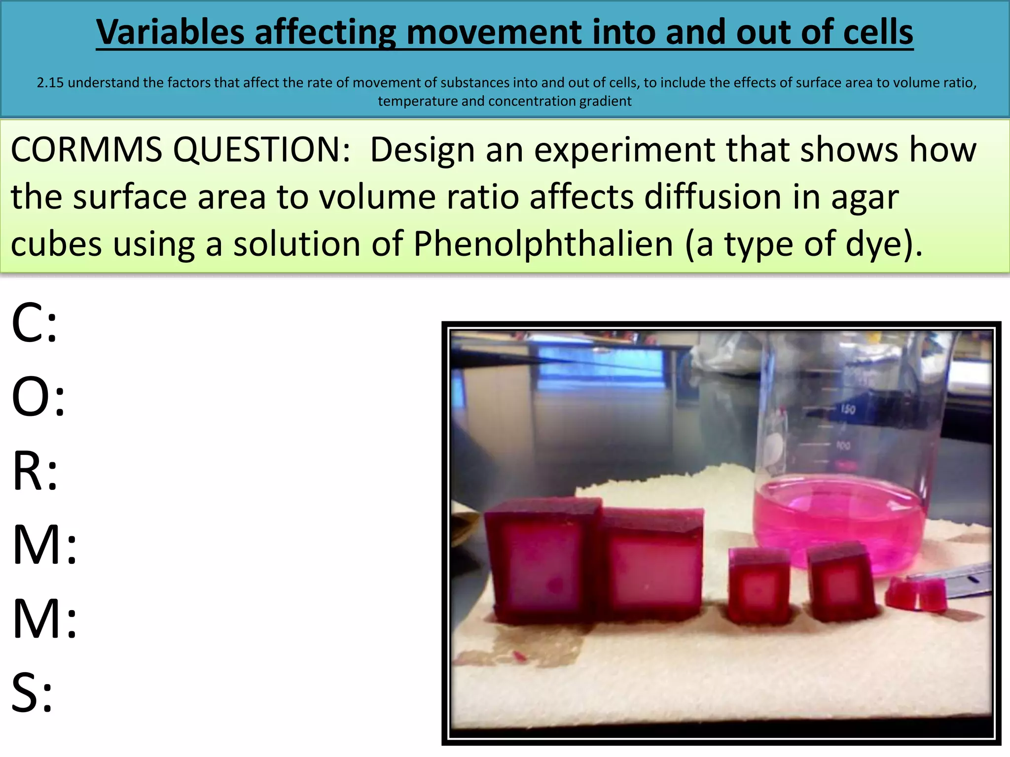 Variables affecting movement into and out of cells 
2.15 understand the factors that affect the rate of movement of substances into and out of cells, to include the effects of surface area to volume ratio, 
temperature and concentration gradient 
CORMMS QUESTION: Design an experiment that shows how 
the surface area to volume ratio affects diffusion in agar 
cubes using a solution of Phenolphthalien (a type of dye). 
C: 
O: 
R: 
M: 
M: 
S: 
 