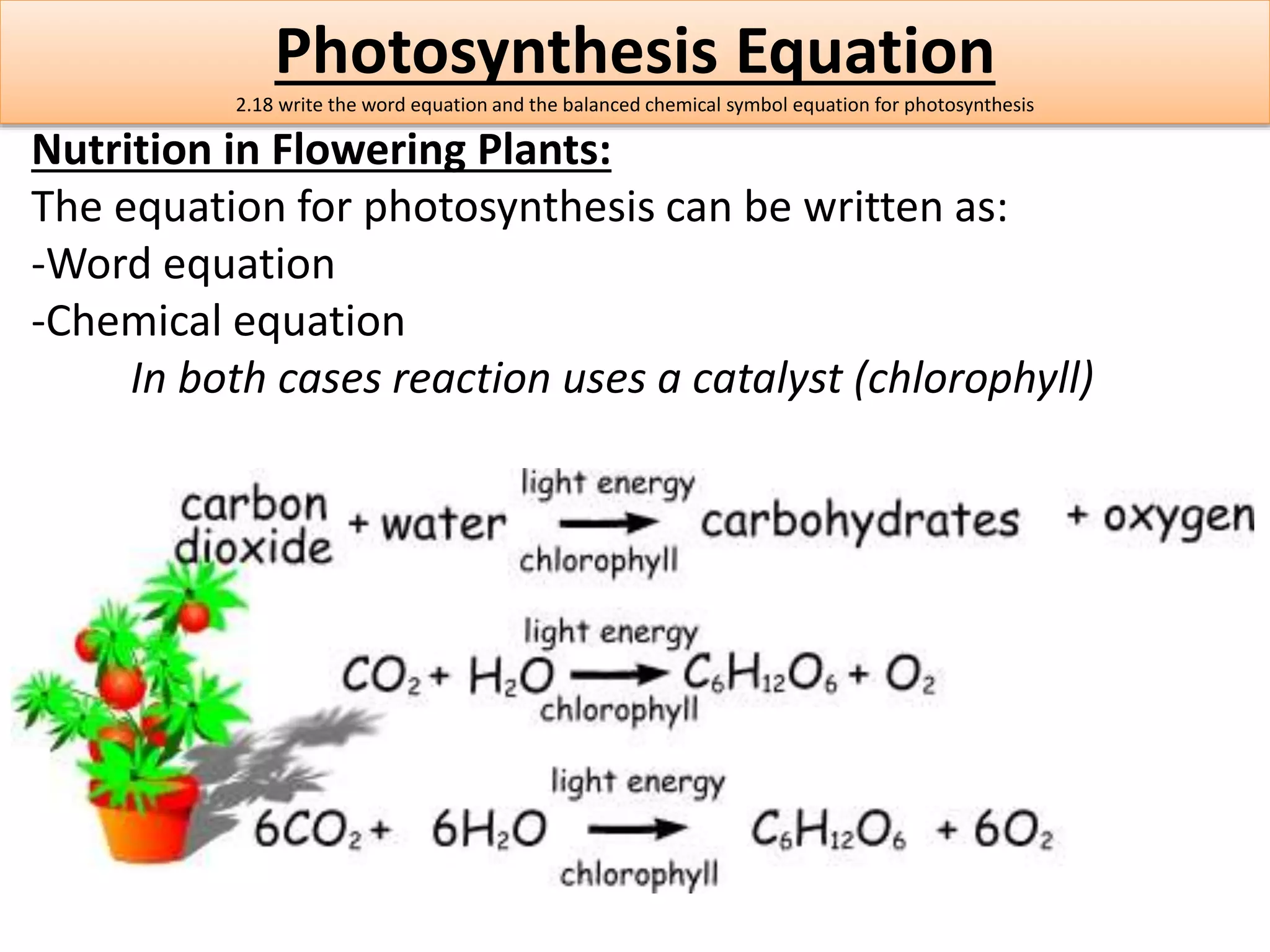 Photosynthesis Equation 
2.18 write the word equation and the balanced chemical symbol equation for photosynthesis 
Nutrition in Flowering Plants: 
The equation for photosynthesis can be written as: 
-Word equation 
-Chemical equation 
In both cases reaction uses a catalyst (chlorophyll) 
 