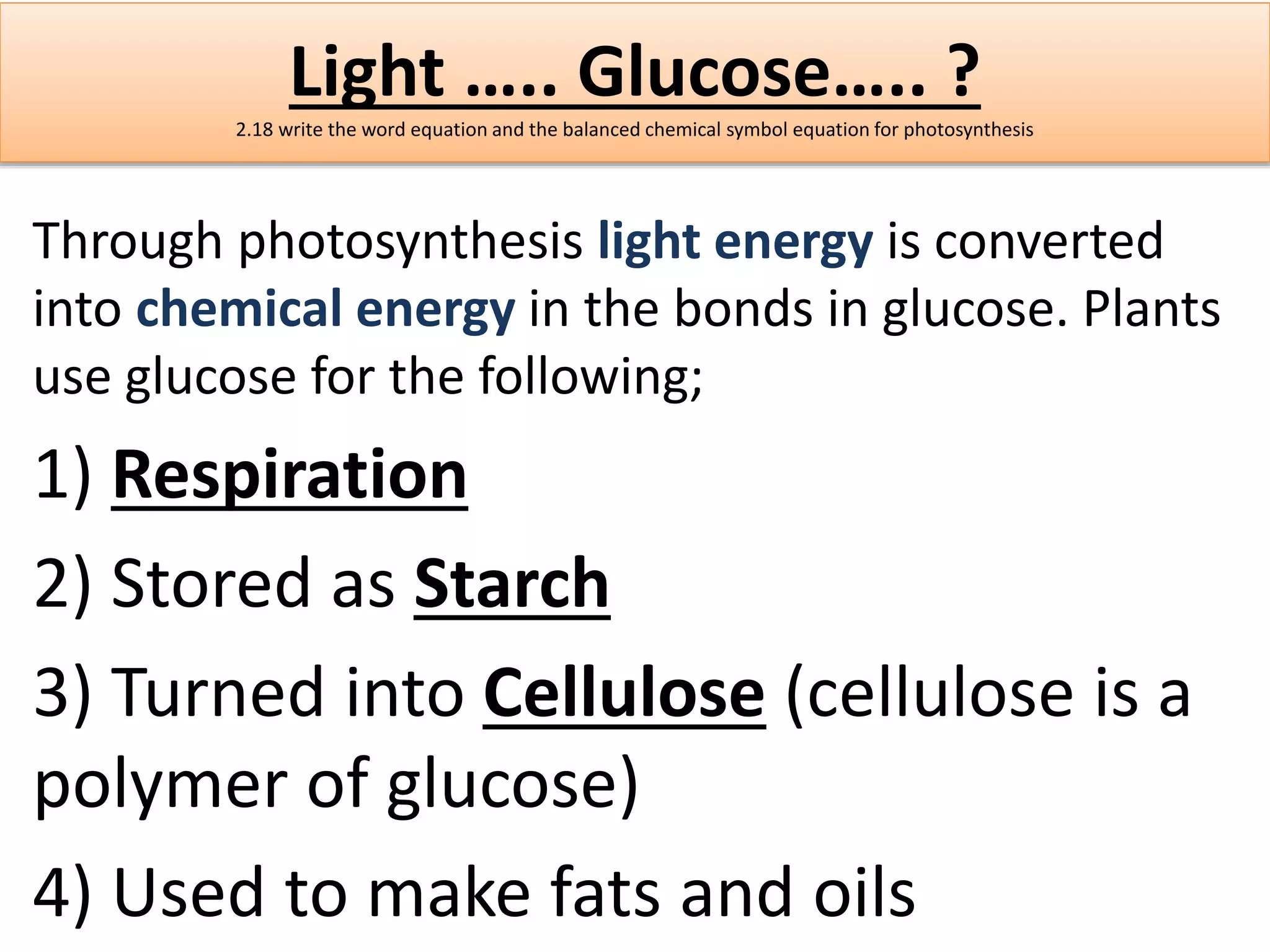 Light ….. Glucose….. ? 
2.18 write the word equation and the balanced chemical symbol equation for photosynthesis 
Through photosynthesis light energy is converted 
into chemical energy in the bonds in glucose. Plants 
use glucose for the following; 
1) Respiration 
2) Stored as Starch 
3) Turned into Cellulose (cellulose is a 
polymer of glucose) 
4) Used to make fats and oils 
 