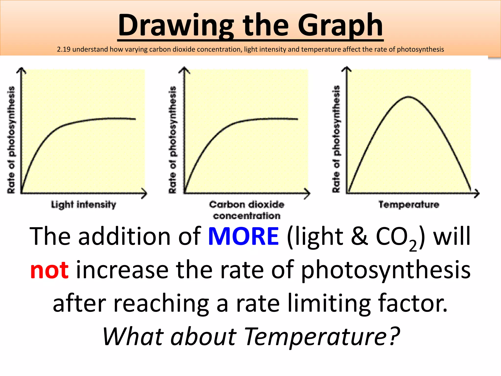 Drawing the Graph 
2.19 understand how varying carbon dioxide concentration, light intensity and temperature affect the rate of photosynthesis 
The addition of MORE (light & CO2) will 
not increase the rate of photosynthesis 
after reaching a rate limiting factor. 
What about Temperature? 
 