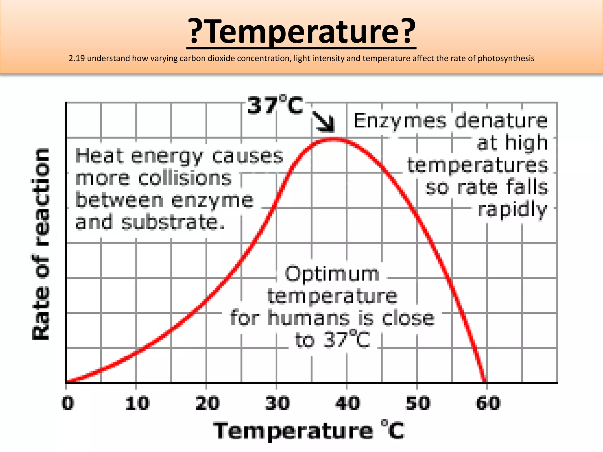 ?Temperature? 
2.19 understand how varying carbon dioxide concentration, light intensity and temperature affect the rate of photosynthesis 
 