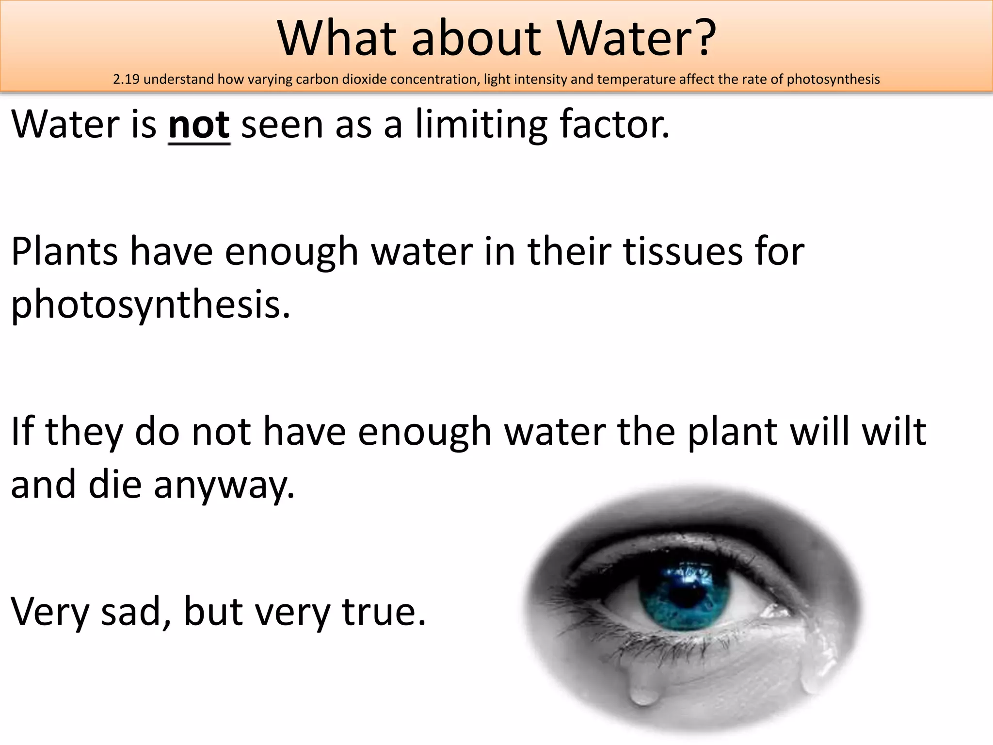 What about Water? 
2.19 understand how varying carbon dioxide concentration, light intensity and temperature affect the rate of photosynthesis 
Water is not seen as a limiting factor. 
Plants have enough water in their tissues for 
photosynthesis. 
If they do not have enough water the plant will wilt 
and die anyway. 
Very sad, but very true. 
 
