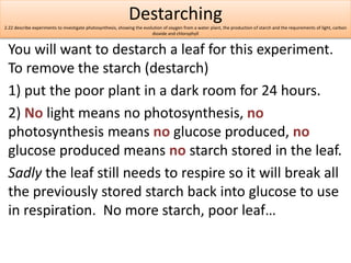 Destarching 
2.22 describe experiments to investigate photosynthesis, showing the evolution of oxygen from a water plant, ...