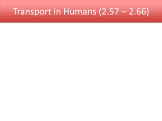 Transport in Humans (2.57 – 2.66) 
 