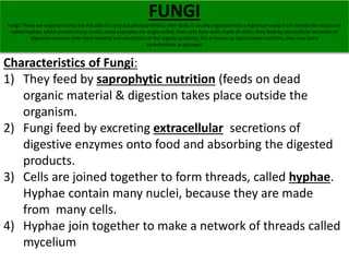 FUNGI 
Fungi: These are organisms that are not able to carry out photosynthesis; their body is usually organised into a my...