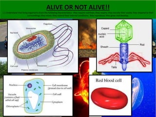 ALIVE OR NOT ALIVE!! 
ALIVE OR NOT ALIVE 
1.1 Understand that living organisms share the following characteristics: they r...