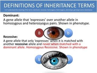 DEFINITIONS OF INHERITANCE TERMS 
3.17 understand the meaning of the terms: dominant, recessive, homozygous, heterozygous,...