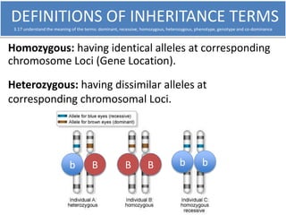 DEFINITIONS OF INHERITANCE TERMS 
3.17 understand the meaning of the terms: dominant, recessive, homozygous, heterozygous,...