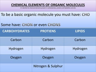 CHEMICAL ELEMENTS OF ORGANIC MOLECULES 
2.5 identify the chemical elements present in carbohydrates, proteins and lipids(f...