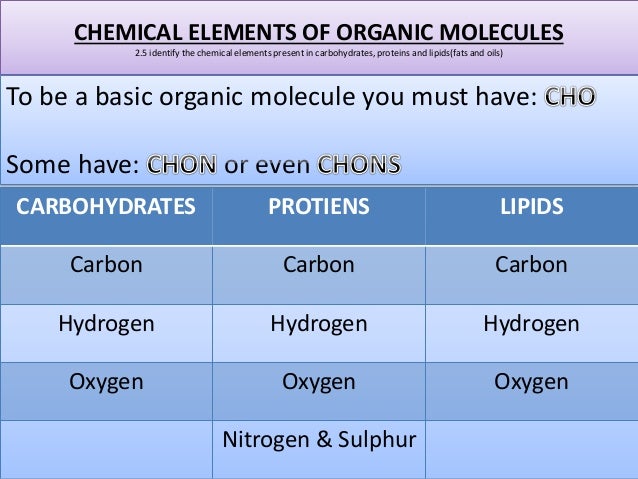 present elements in starch chemical elements 2 identify organic the of 5 chemical molecules chemical