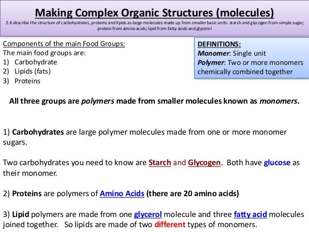 complete igcse 2005 biology syllabus essay 1 v1 4y11 cambridge igcse biology – past paper questions and answers cambridge igcse® biology (0610) past paper questions. complete igcse 2005 biology syllabus essay 1 v1 4y11 cambridge igcse biology – past paper questions and answers cambridge igcse® biology (0610) past paper questions.
