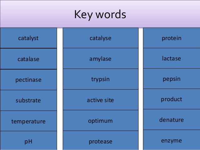 Catalase hydrogen peroxide coursework
