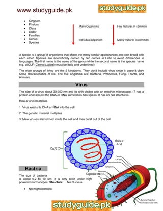 Igcse biology notes gooood | PDF