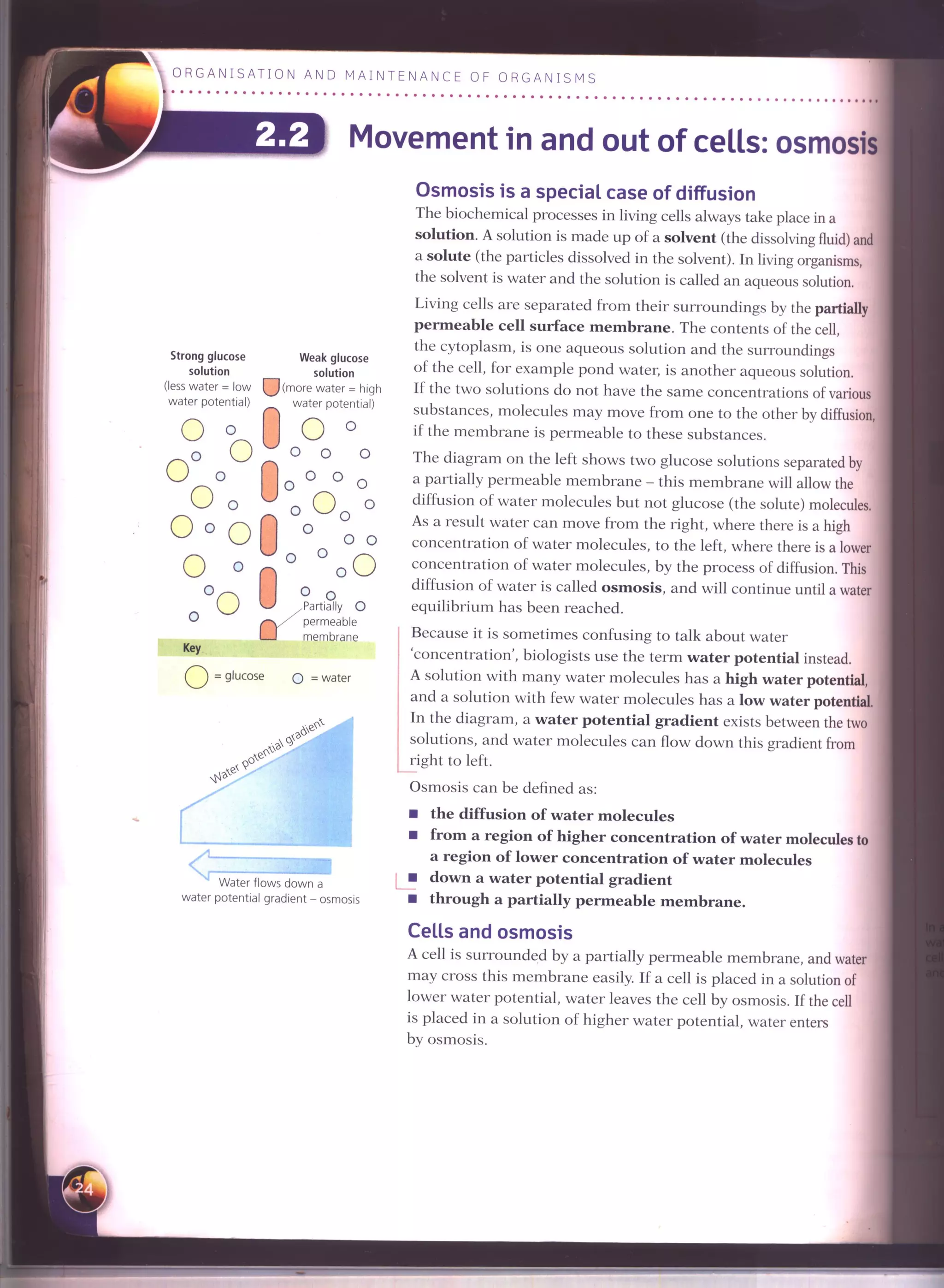 IGCSE Cambridge biology r. pickering
