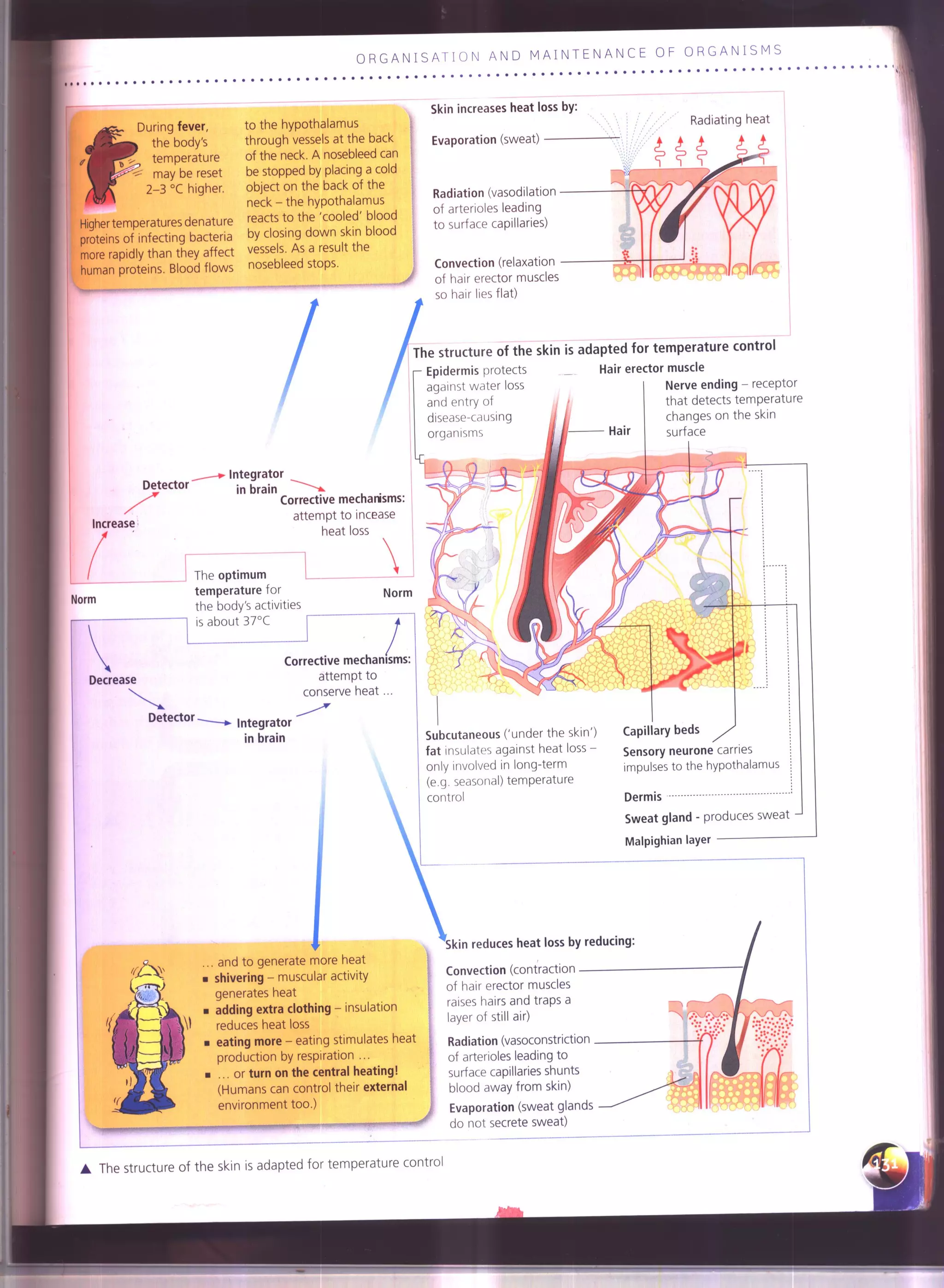 IGCSE Cambridge biology r. pickering
