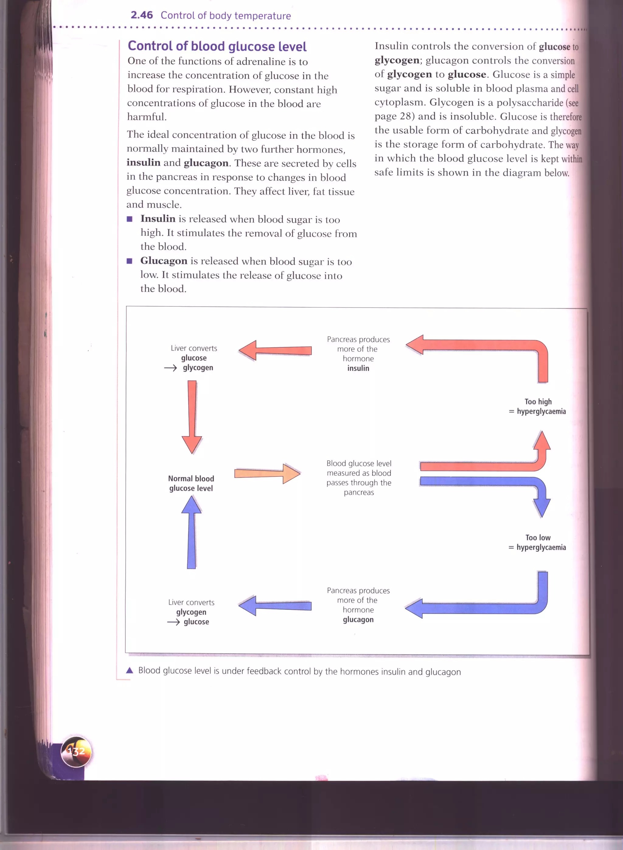 IGCSE Cambridge biology r. pickering