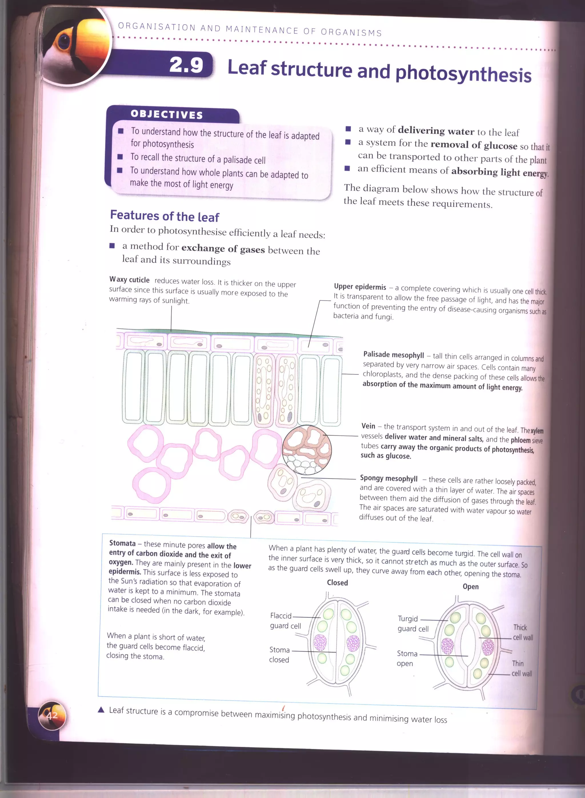 IGCSE Cambridge biology r. pickering